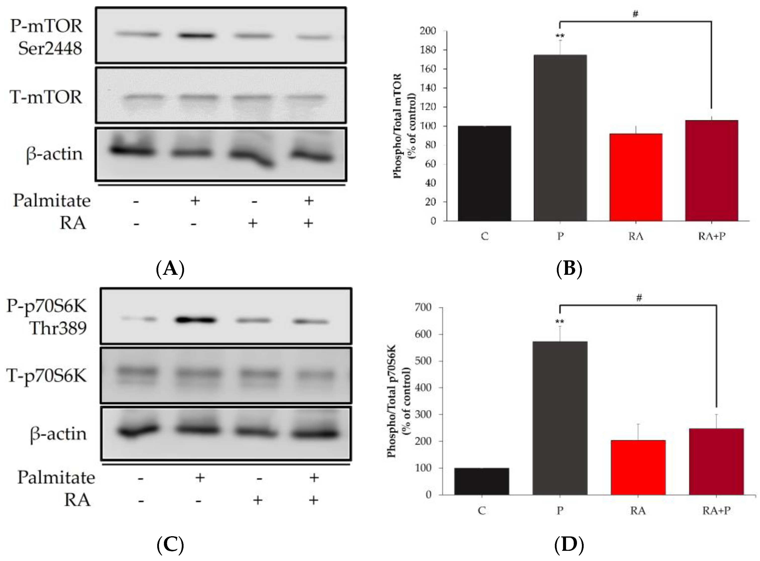 Ijms 24 05094 g005 Ijms 24 05094 g005