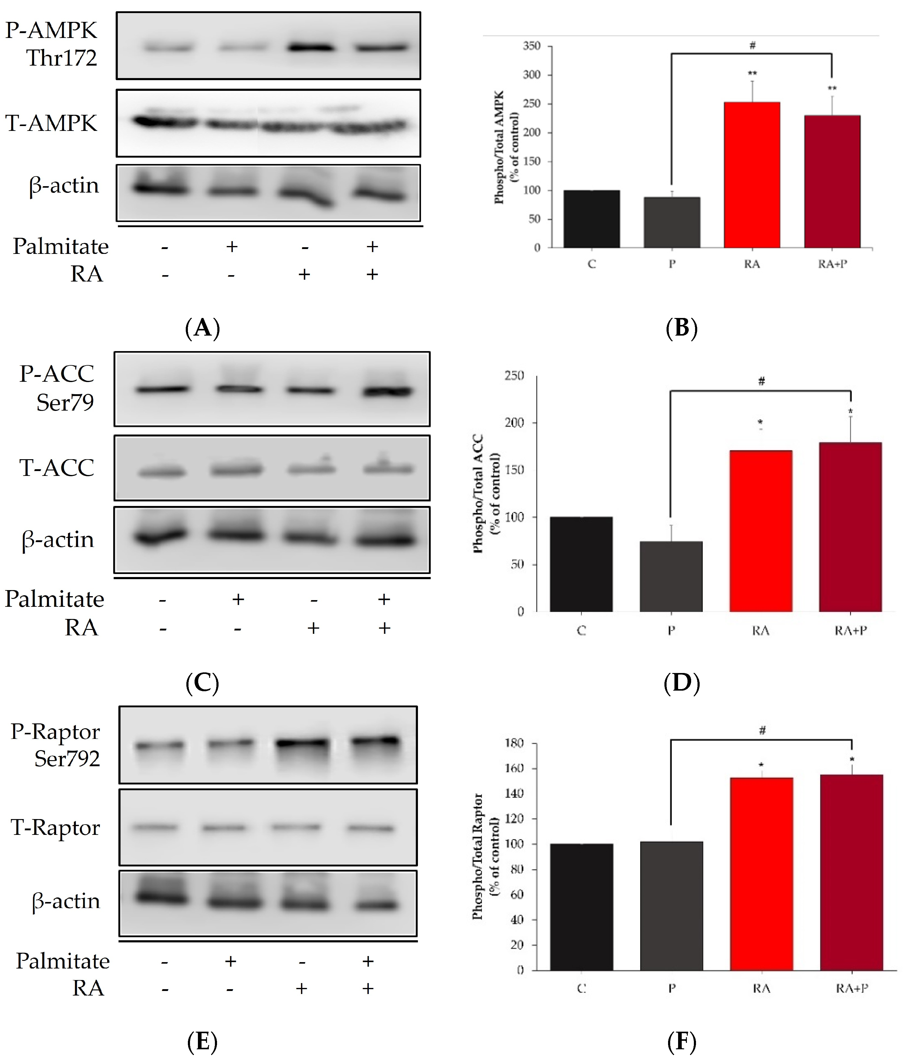 Ijms 24 05094 g006 Ijms 24 05094 g006