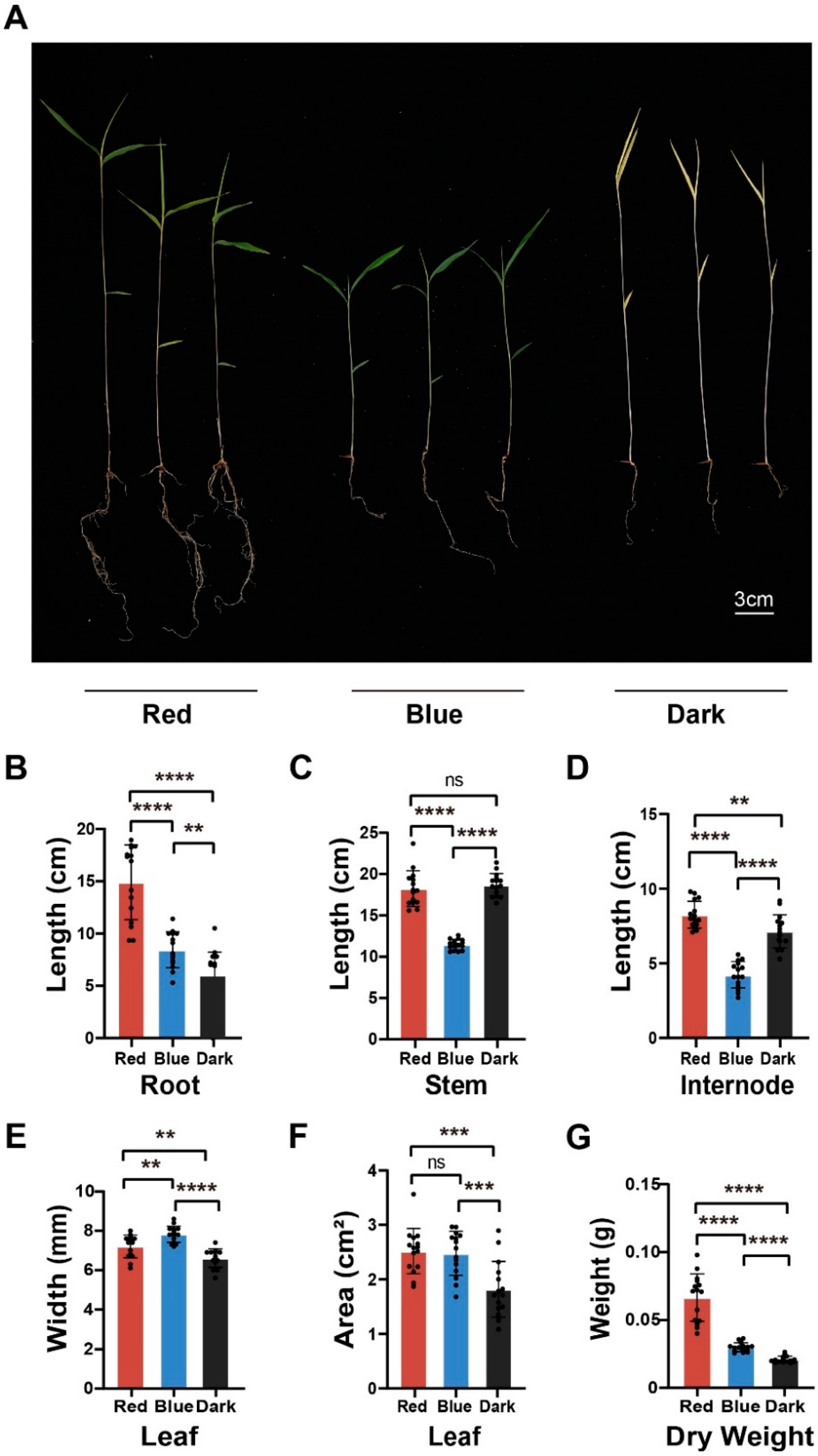 Ijms 24 05103 g001 Ijms 24 05103 g001