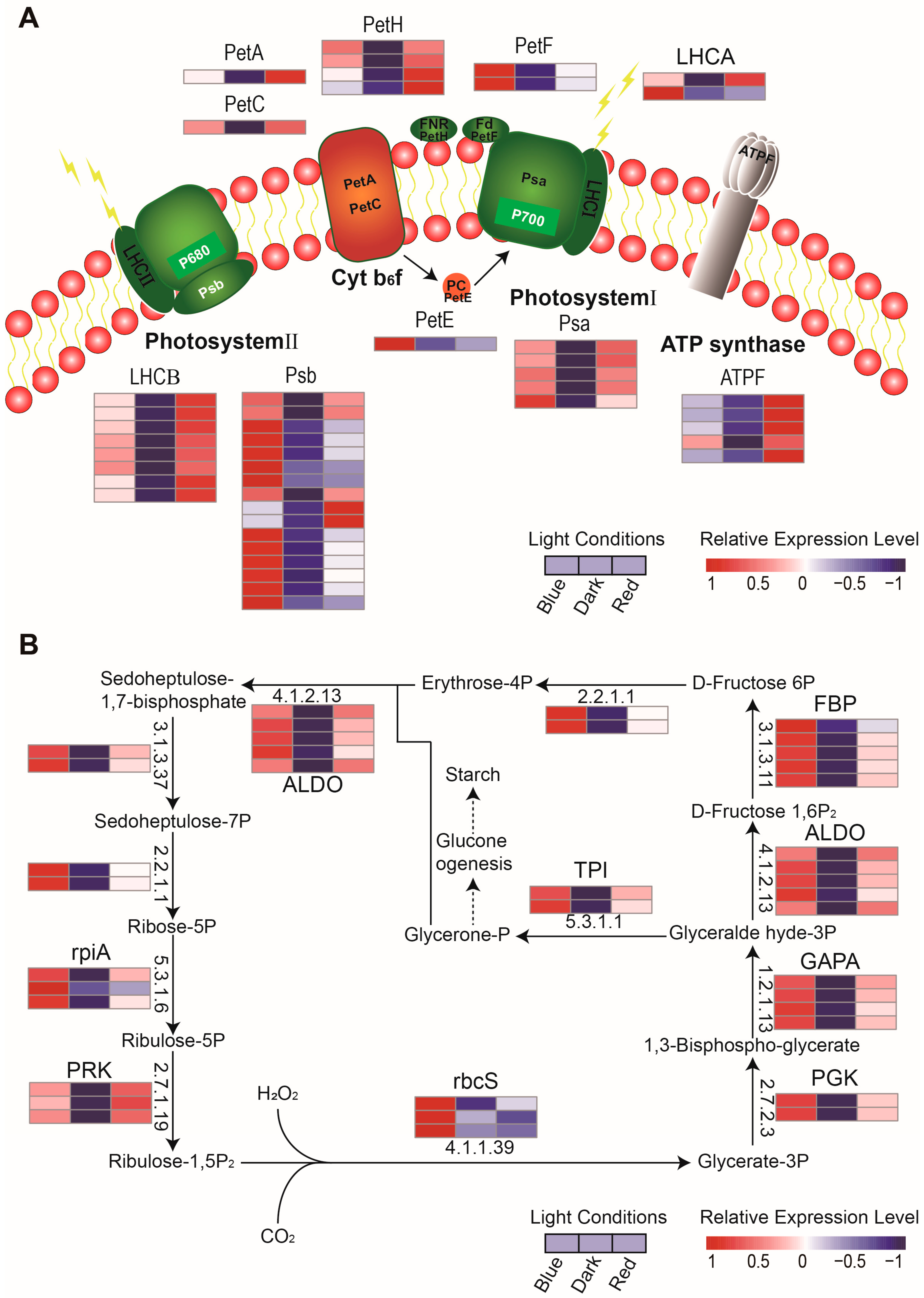 Ijms 24 05103 g005 Ijms 24 05103 g005