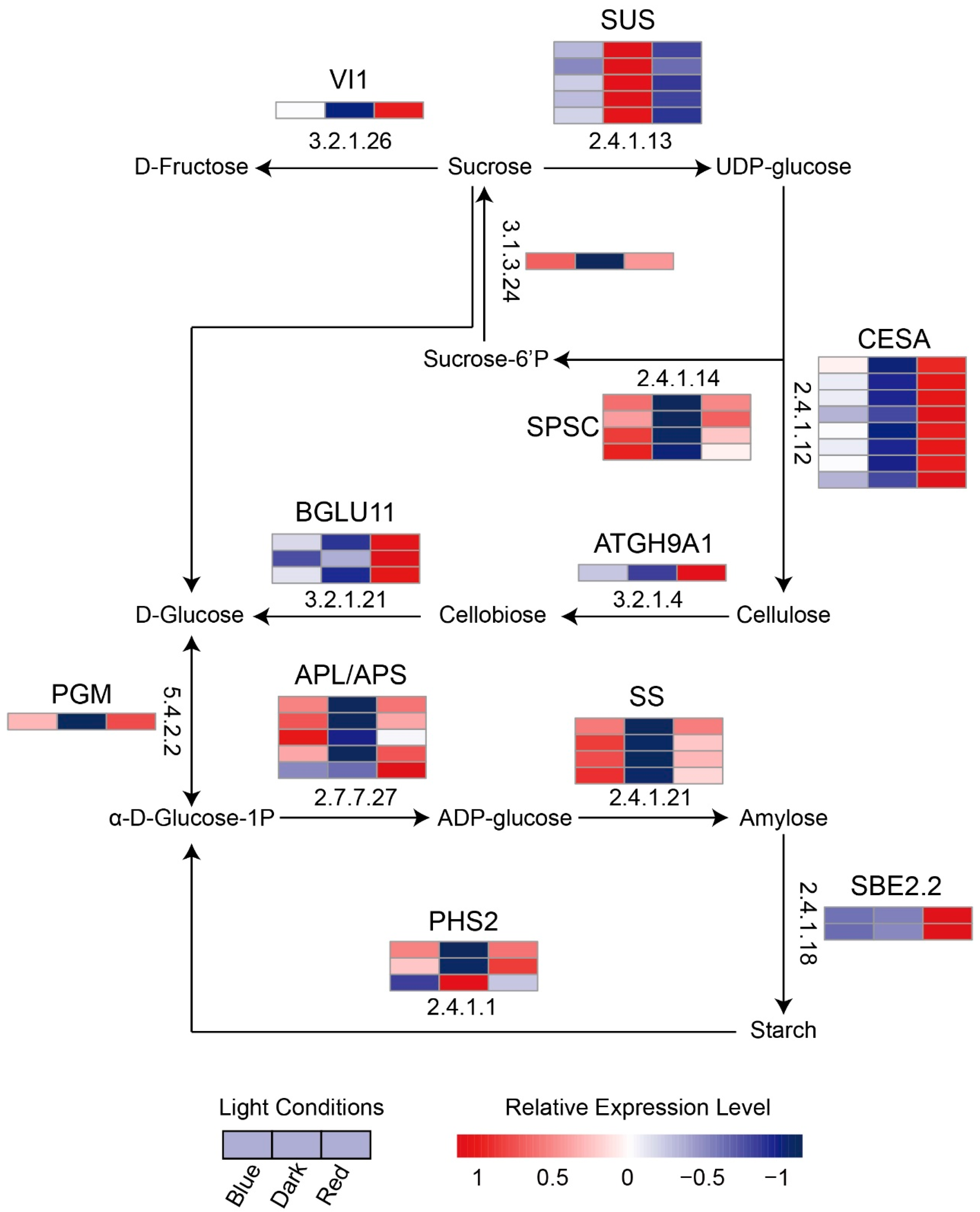 Ijms 24 05103 g007 Ijms 24 05103 g007