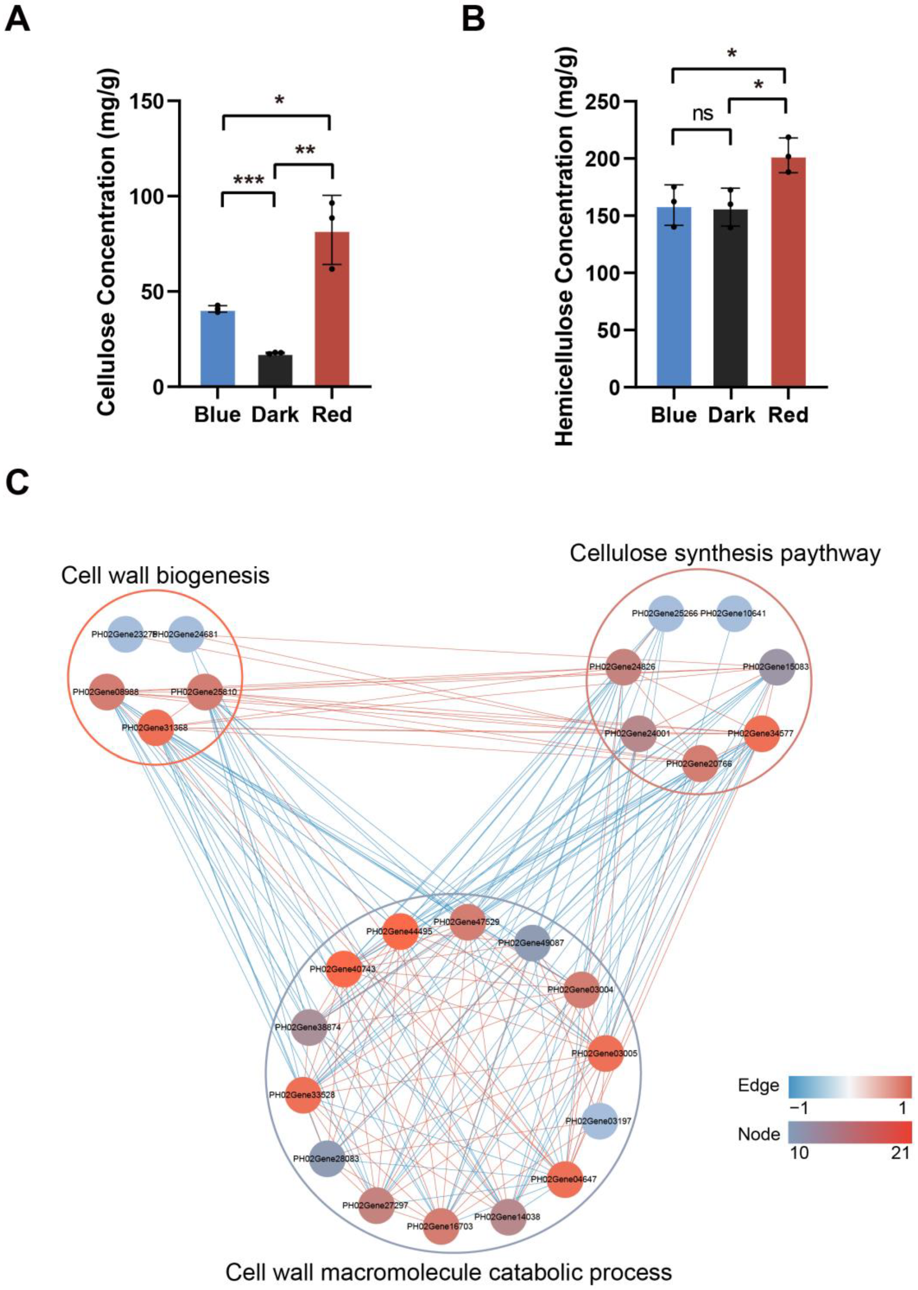 Ijms 24 05103 g009 Ijms 24 05103 g009