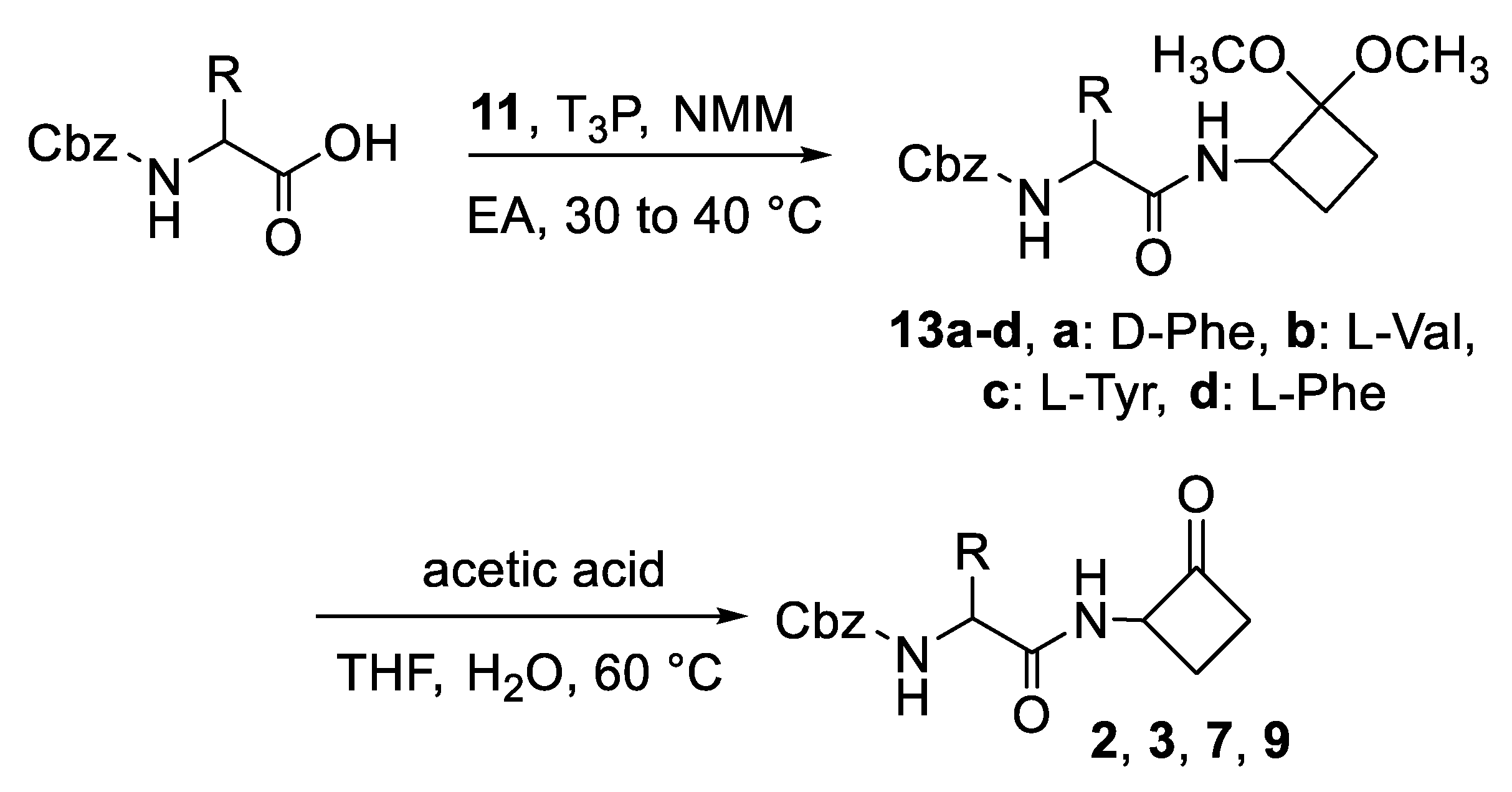 Ijms 24 05120 sch002