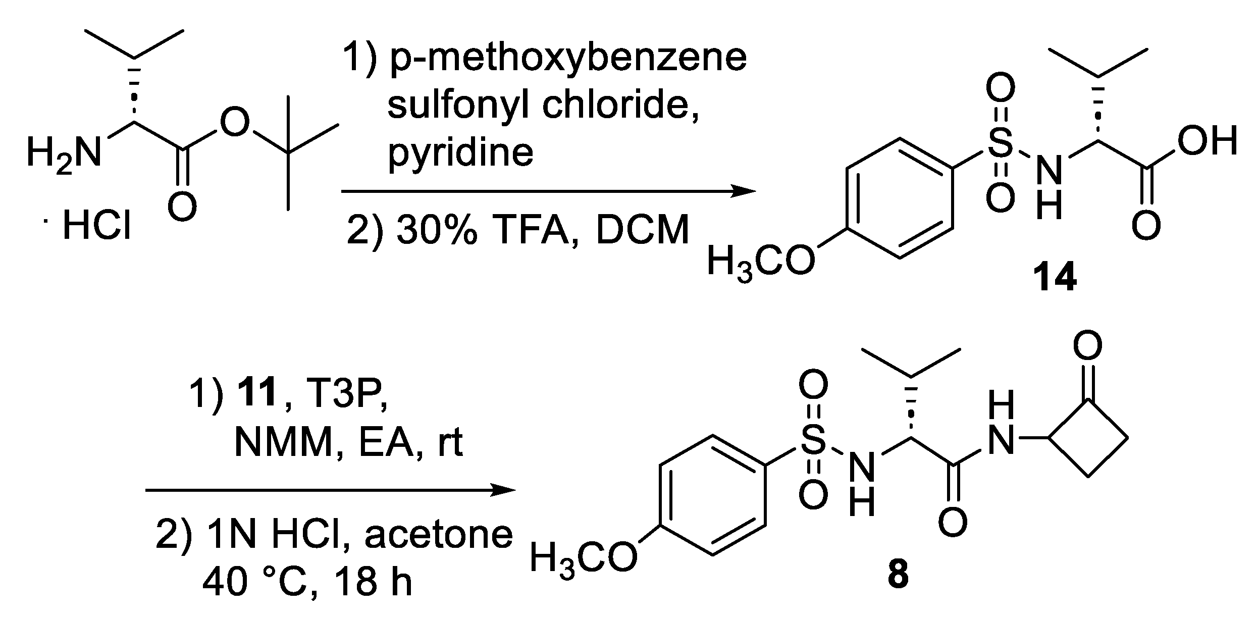 Ijms 24 05120 sch003