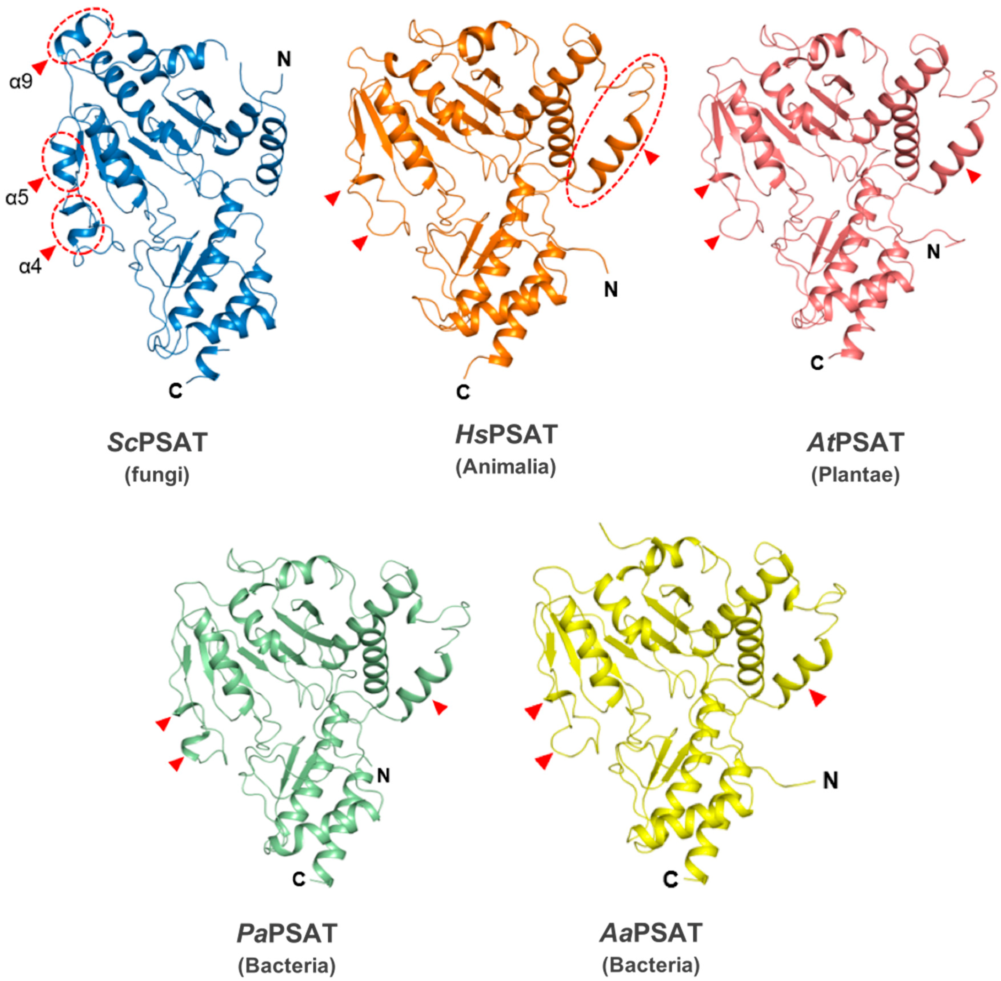 Ijms 24 05139 g002 Ijms 24 05139 g002