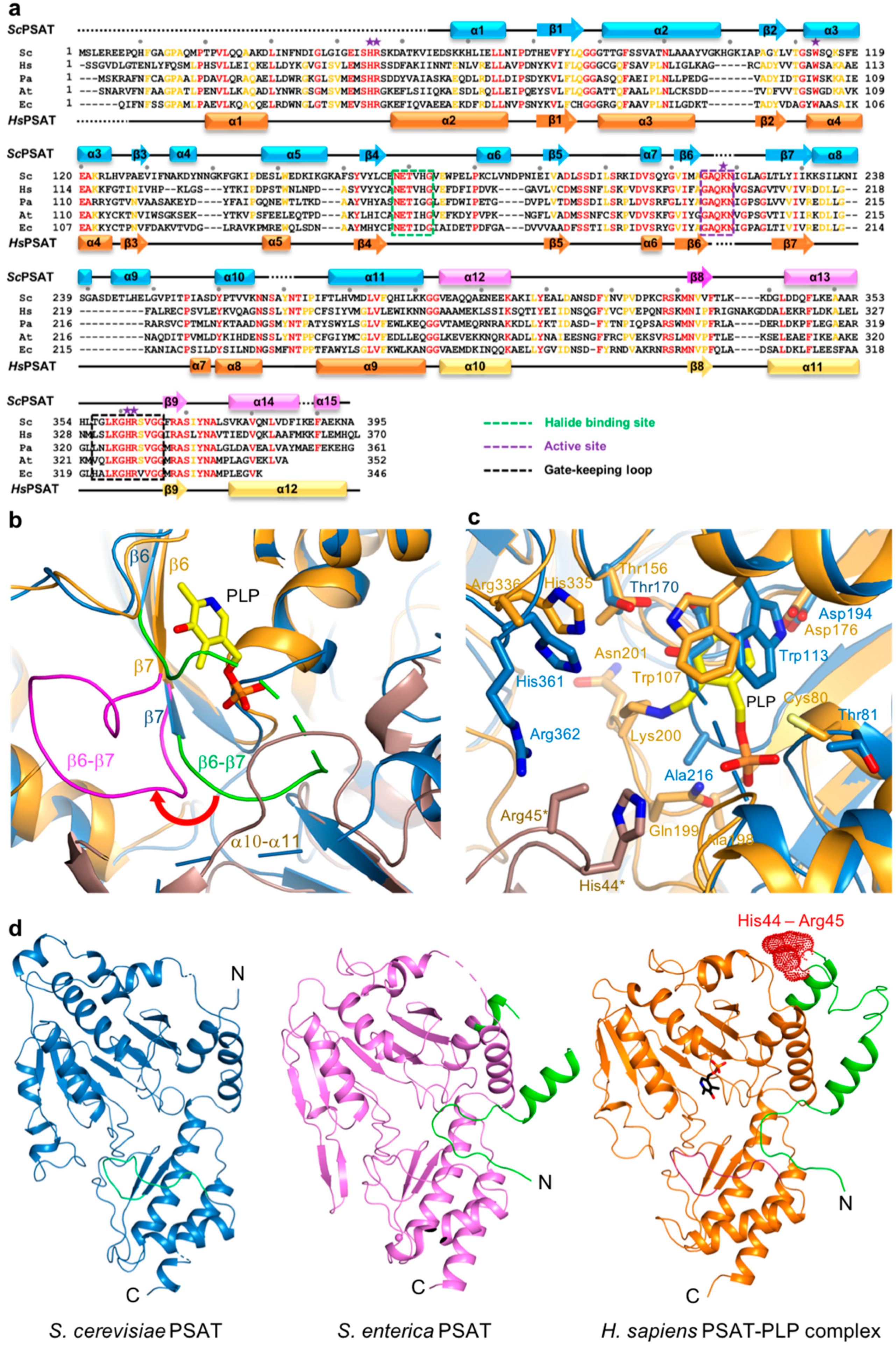 Ijms 24 05139 g003 Ijms 24 05139 g003