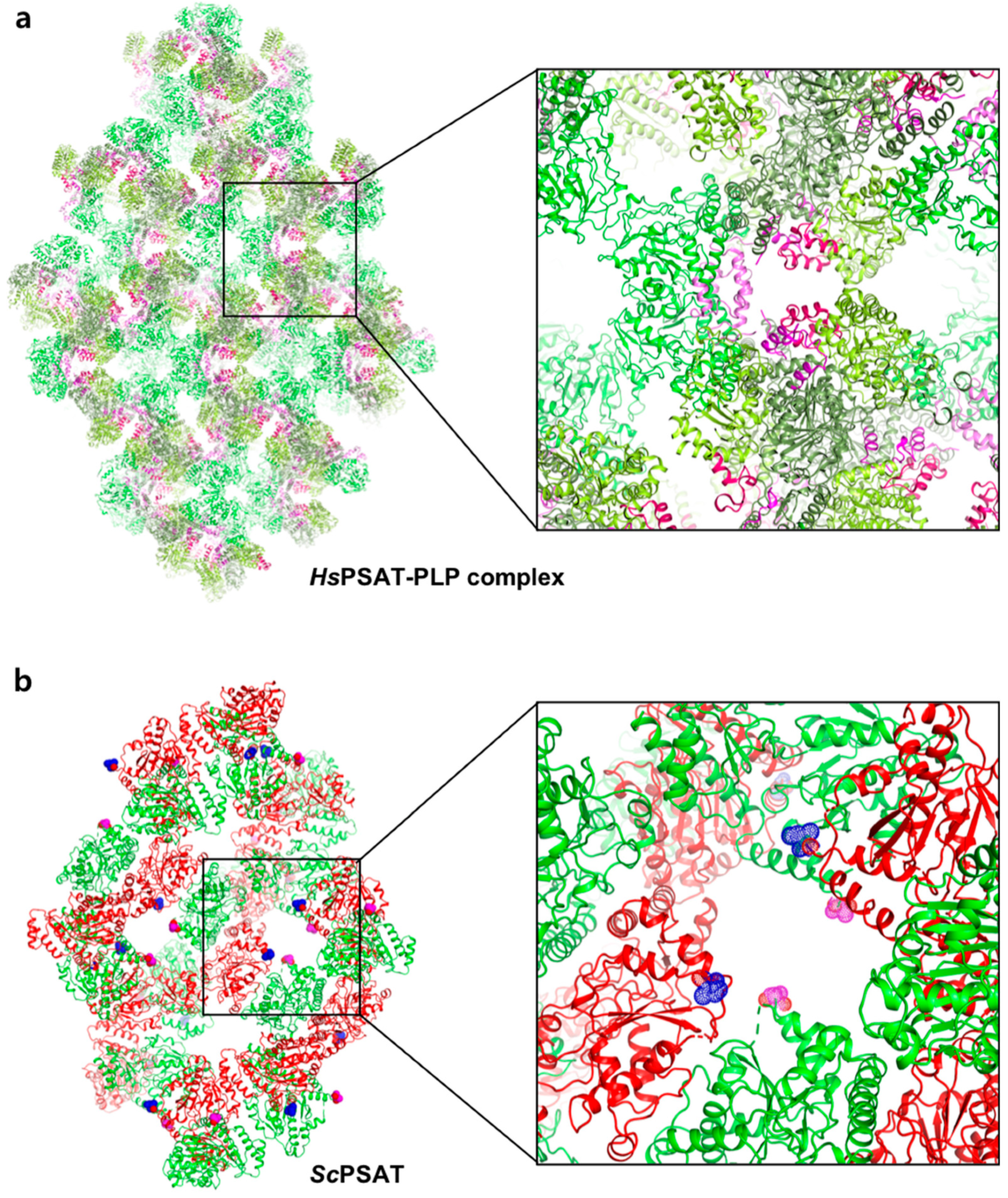 Ijms 24 05139 g004 Ijms 24 05139 g004
