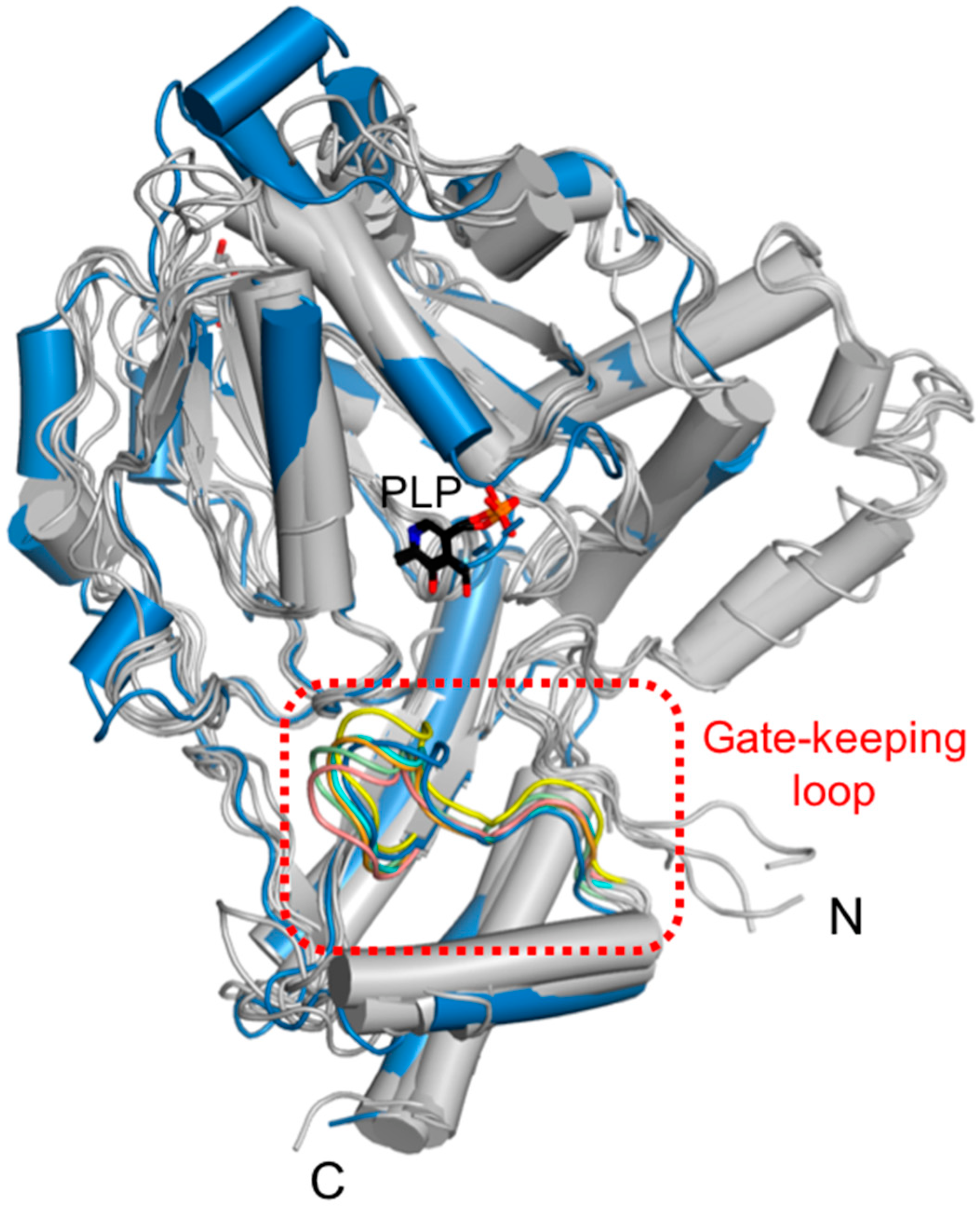 Ijms 24 05139 g006 Ijms 24 05139 g006