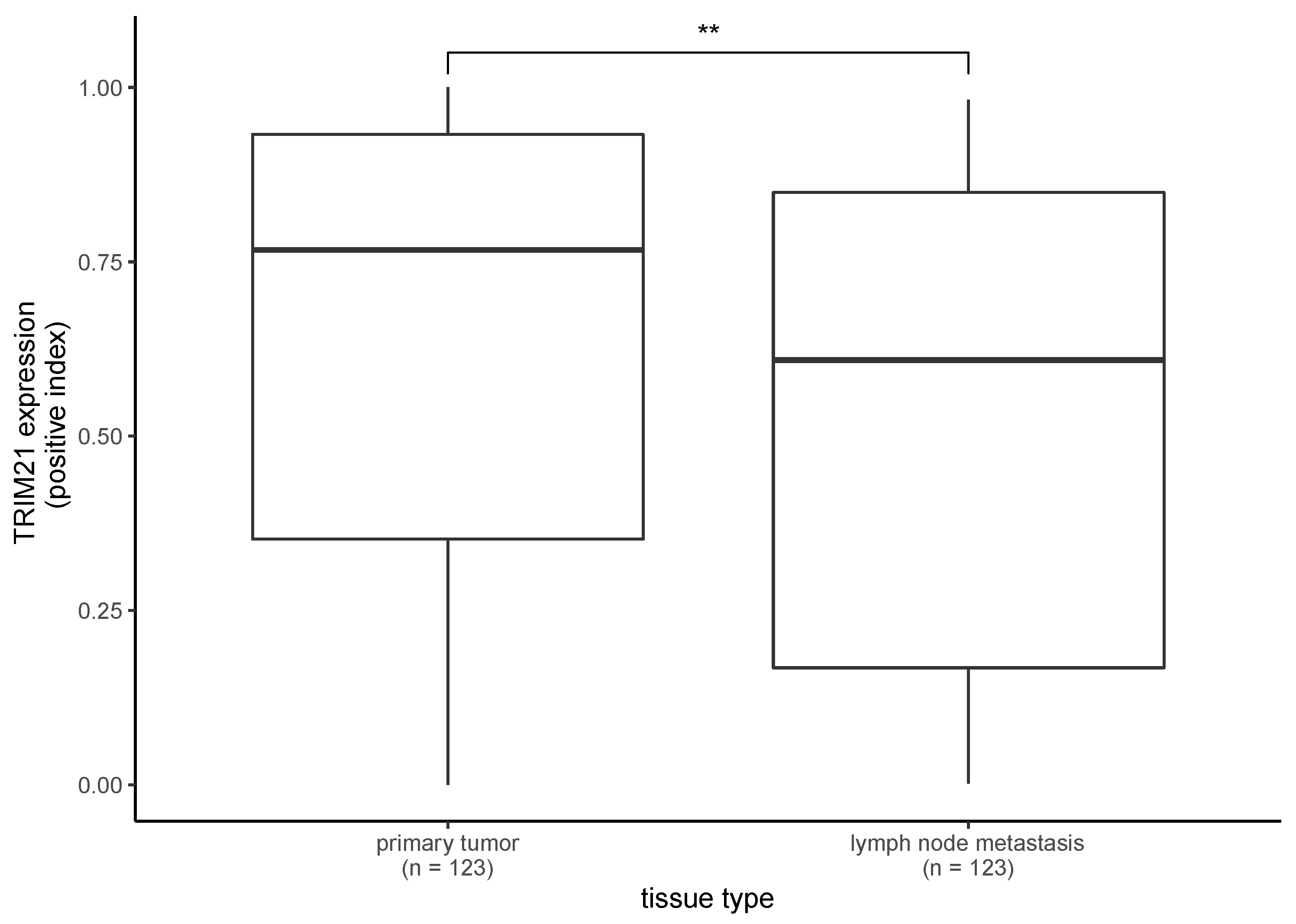 Ijms 24 05140 g003 Ijms 24 05140 g003