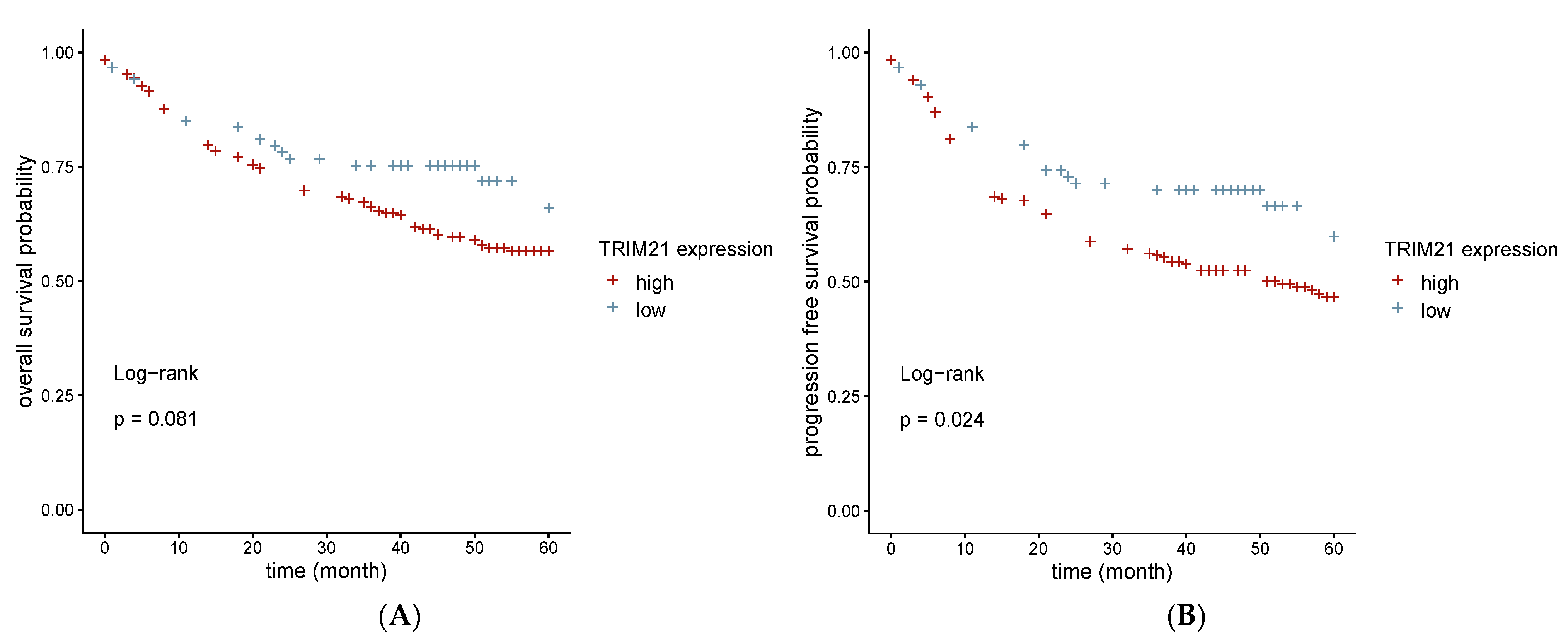 Ijms 24 05140 g006 Ijms 24 05140 g006