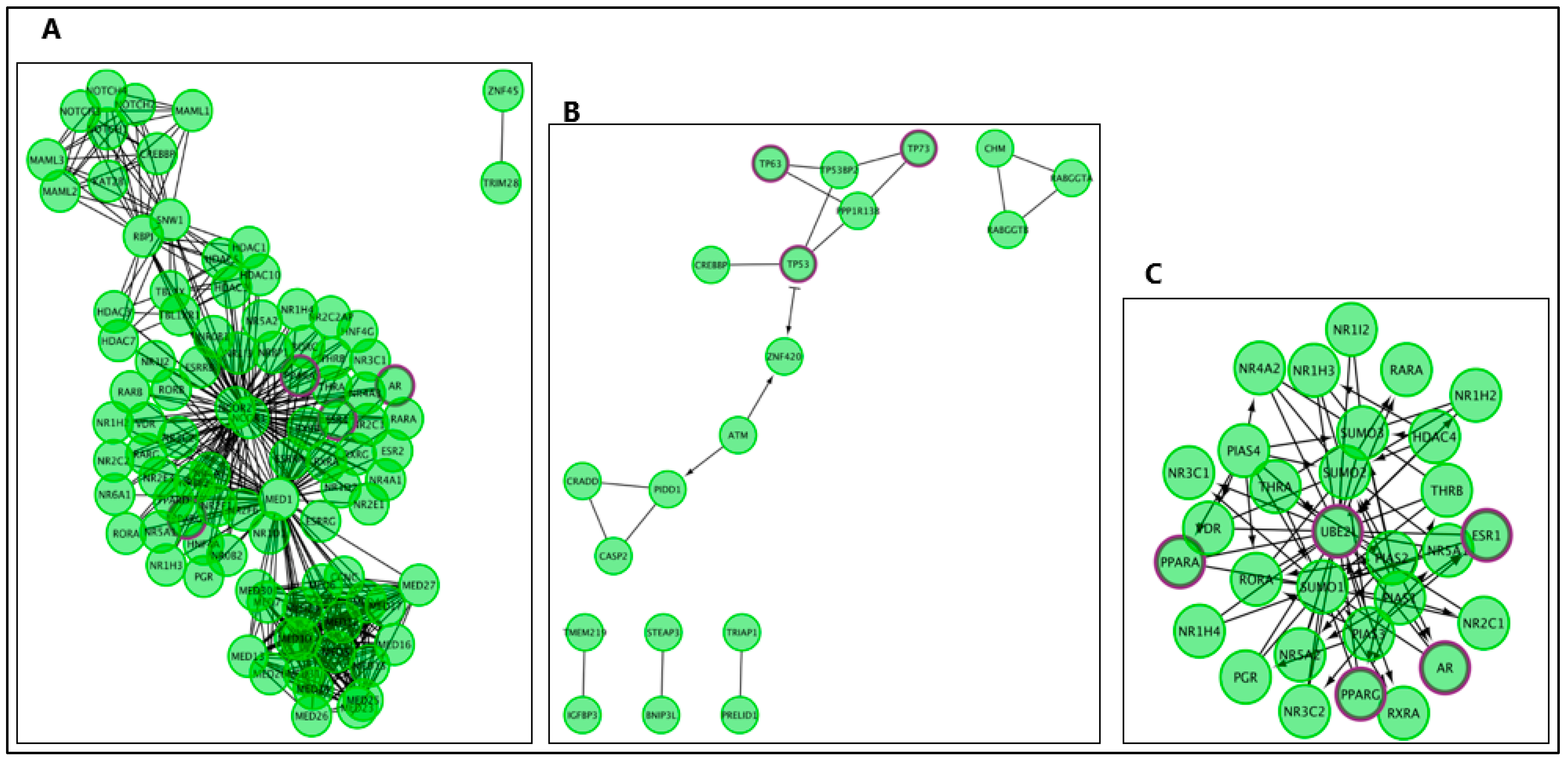 Ijms 24 05178 g003 Ijms 24 05178 g003