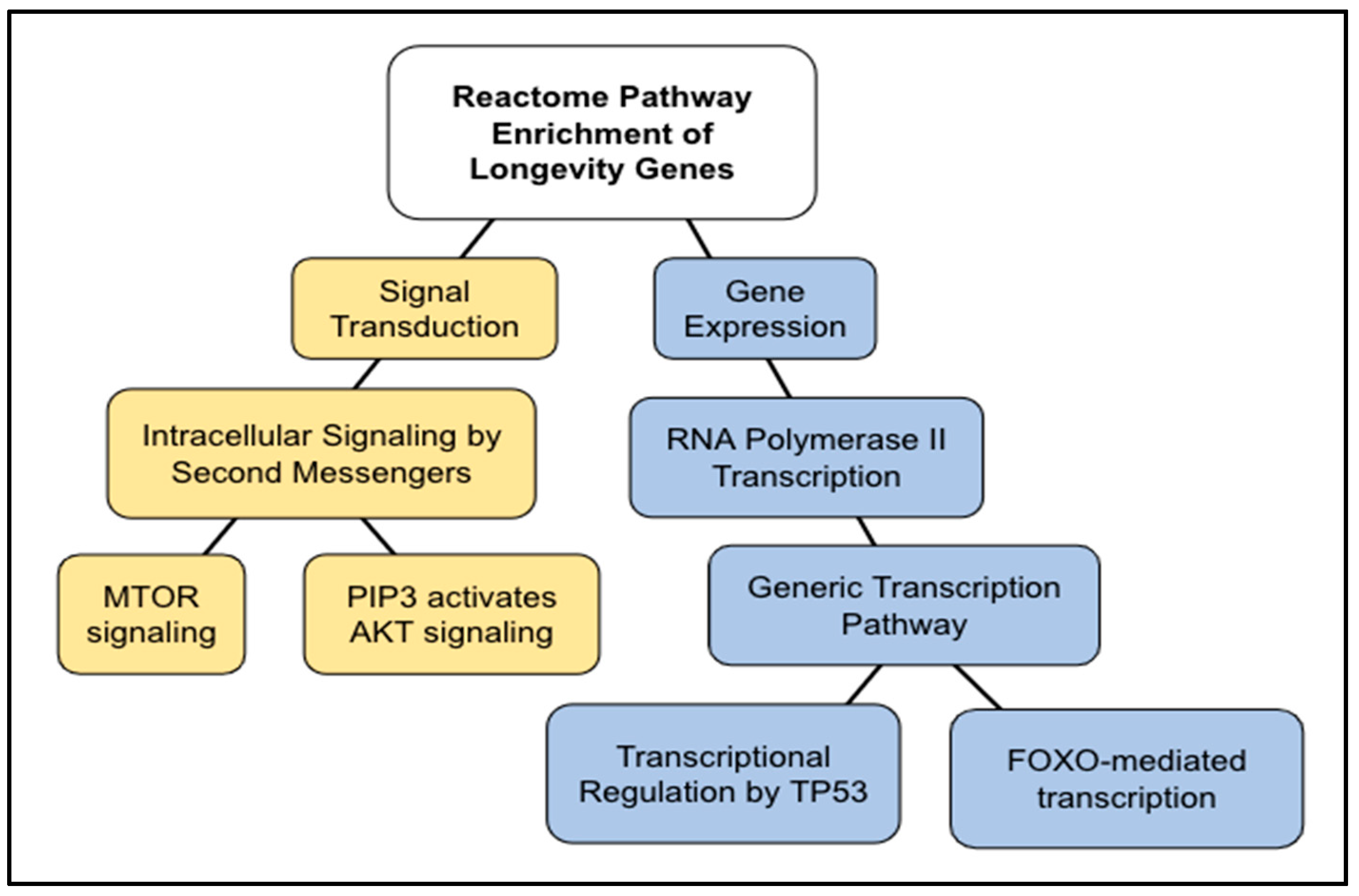 Ijms 24 05178 g009 Ijms 24 05178 g009