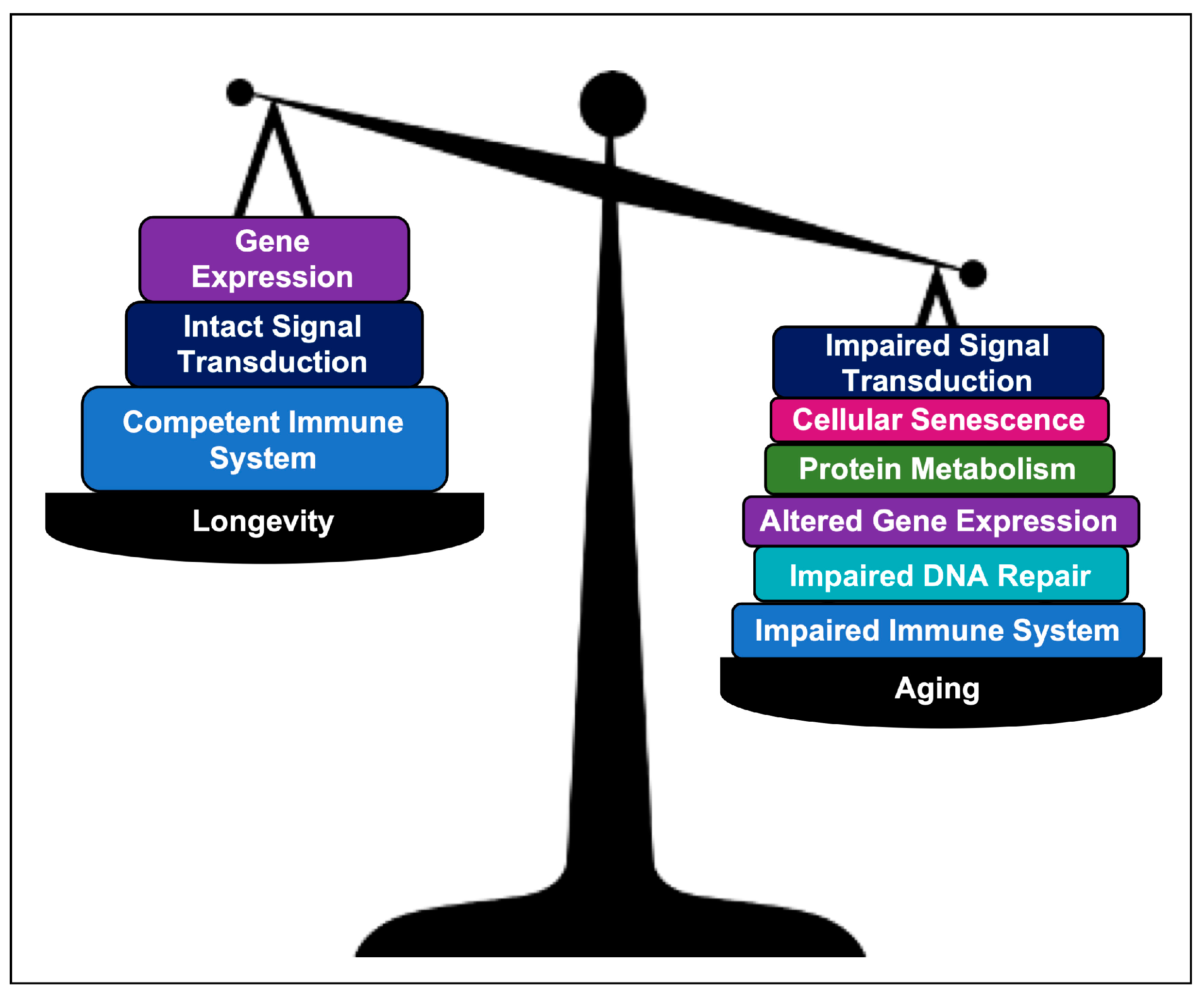 Ijms 24 05178 g010 Ijms 24 05178 g010