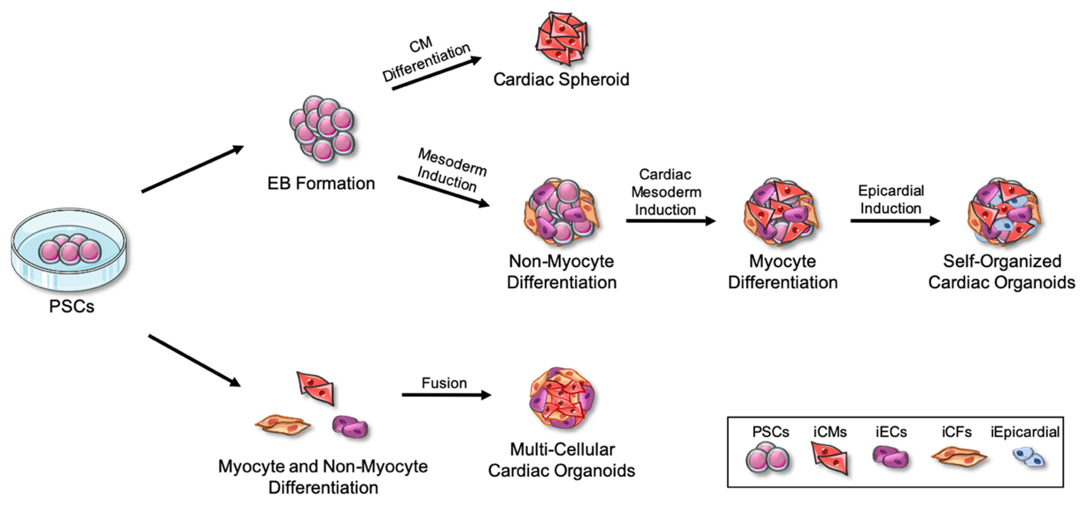 Ijms 24 05188 g001 Ijms 24 05188 g001