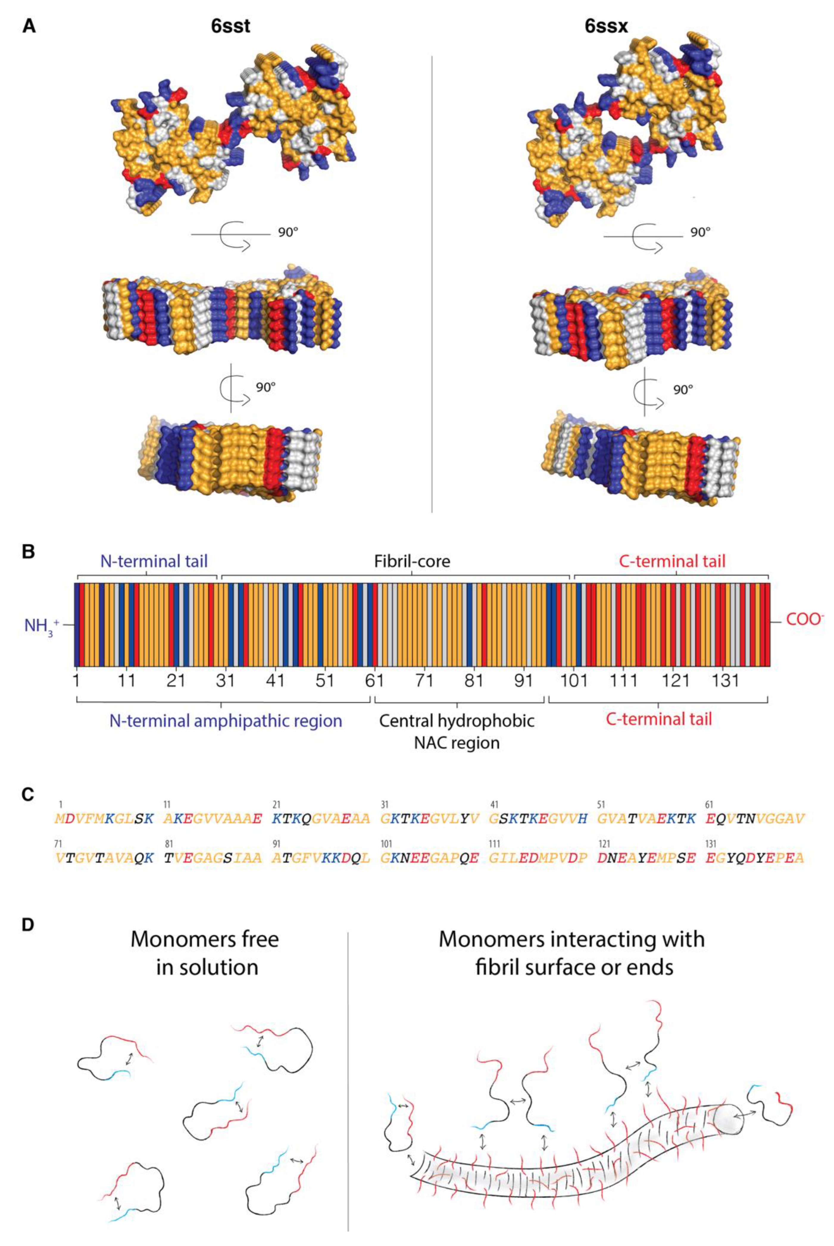 Ijms 24 05191 g001 Ijms 24 05191 g001