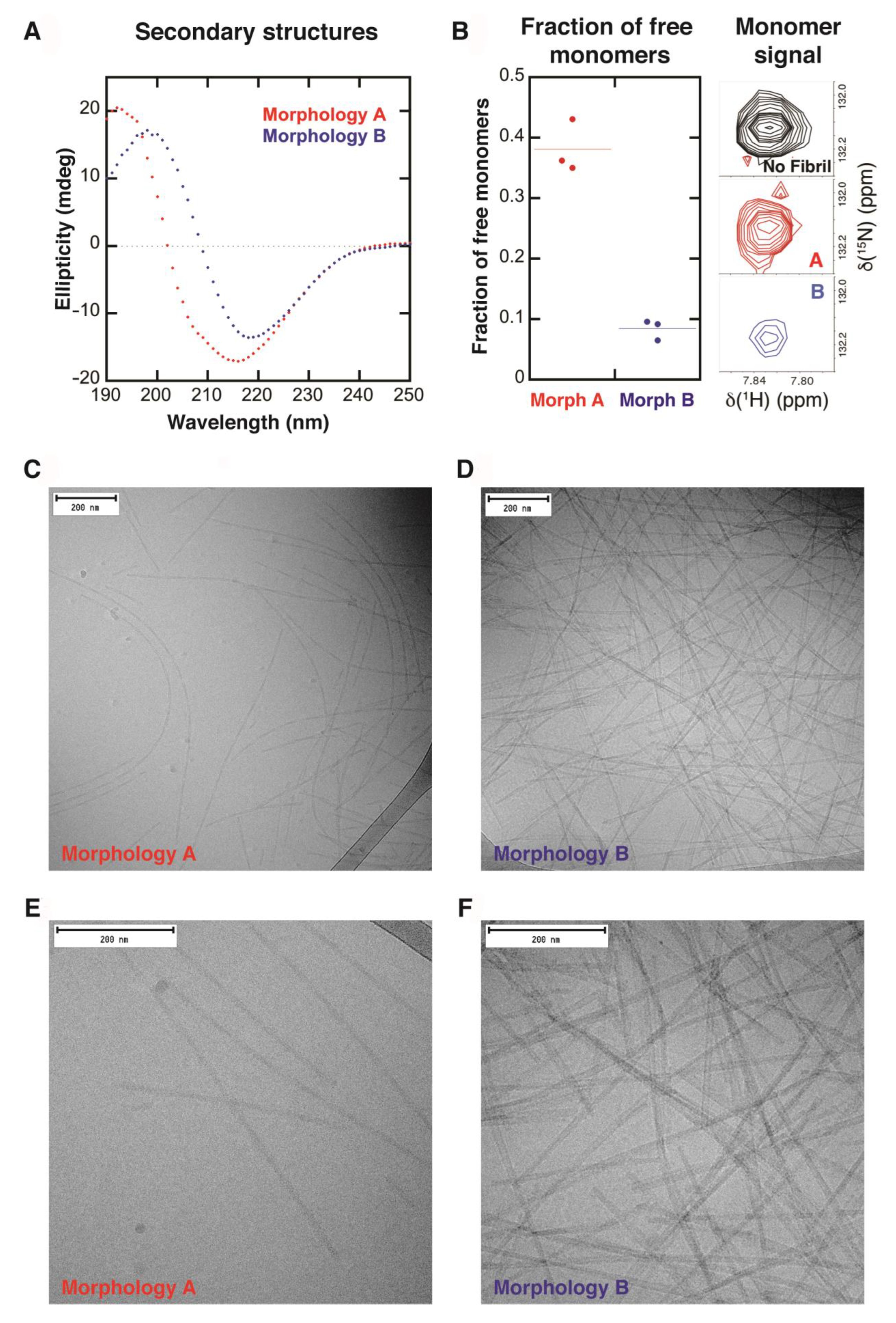 Ijms 24 05191 g002 Ijms 24 05191 g002
