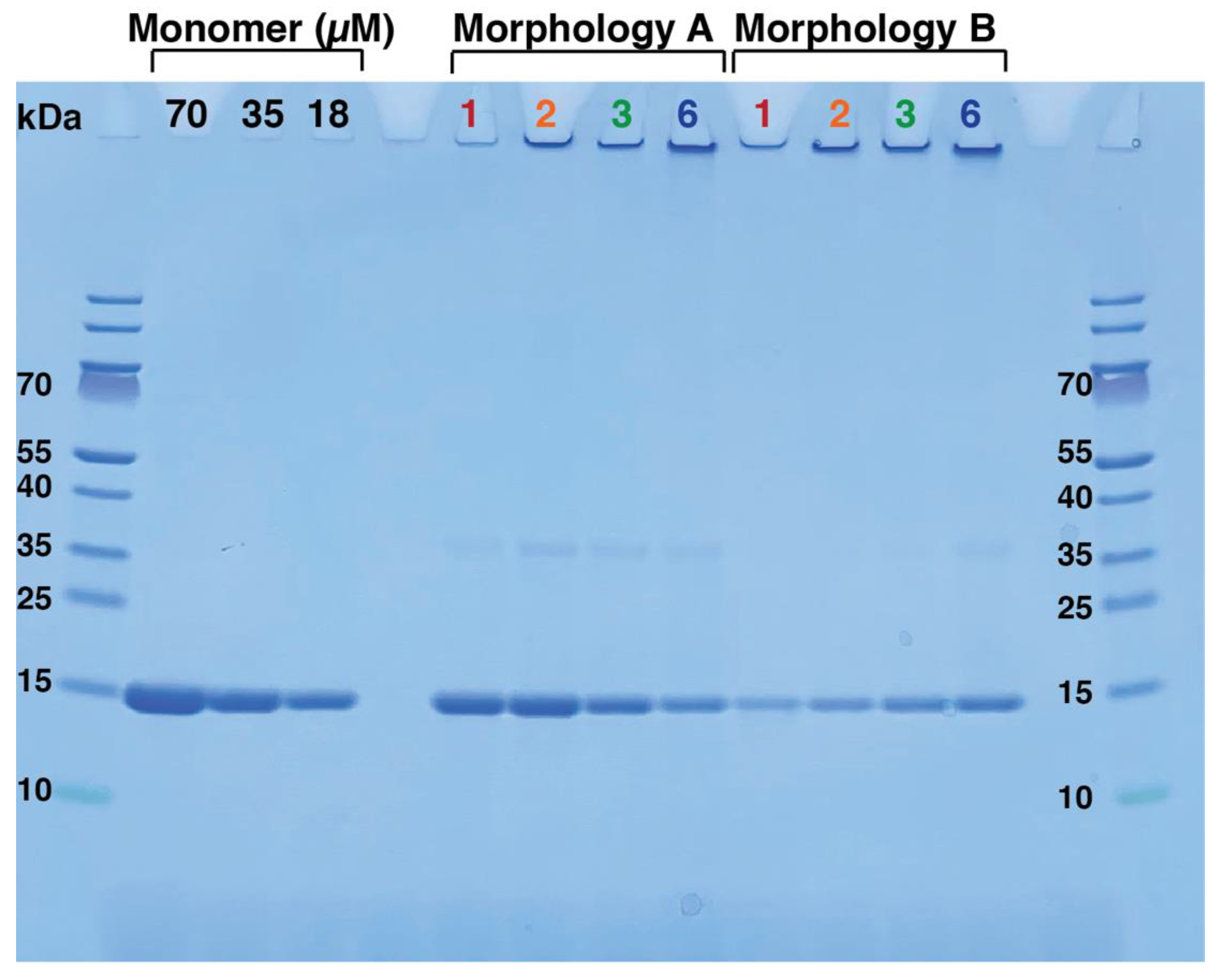 Ijms 24 05191 g005 Ijms 24 05191 g005