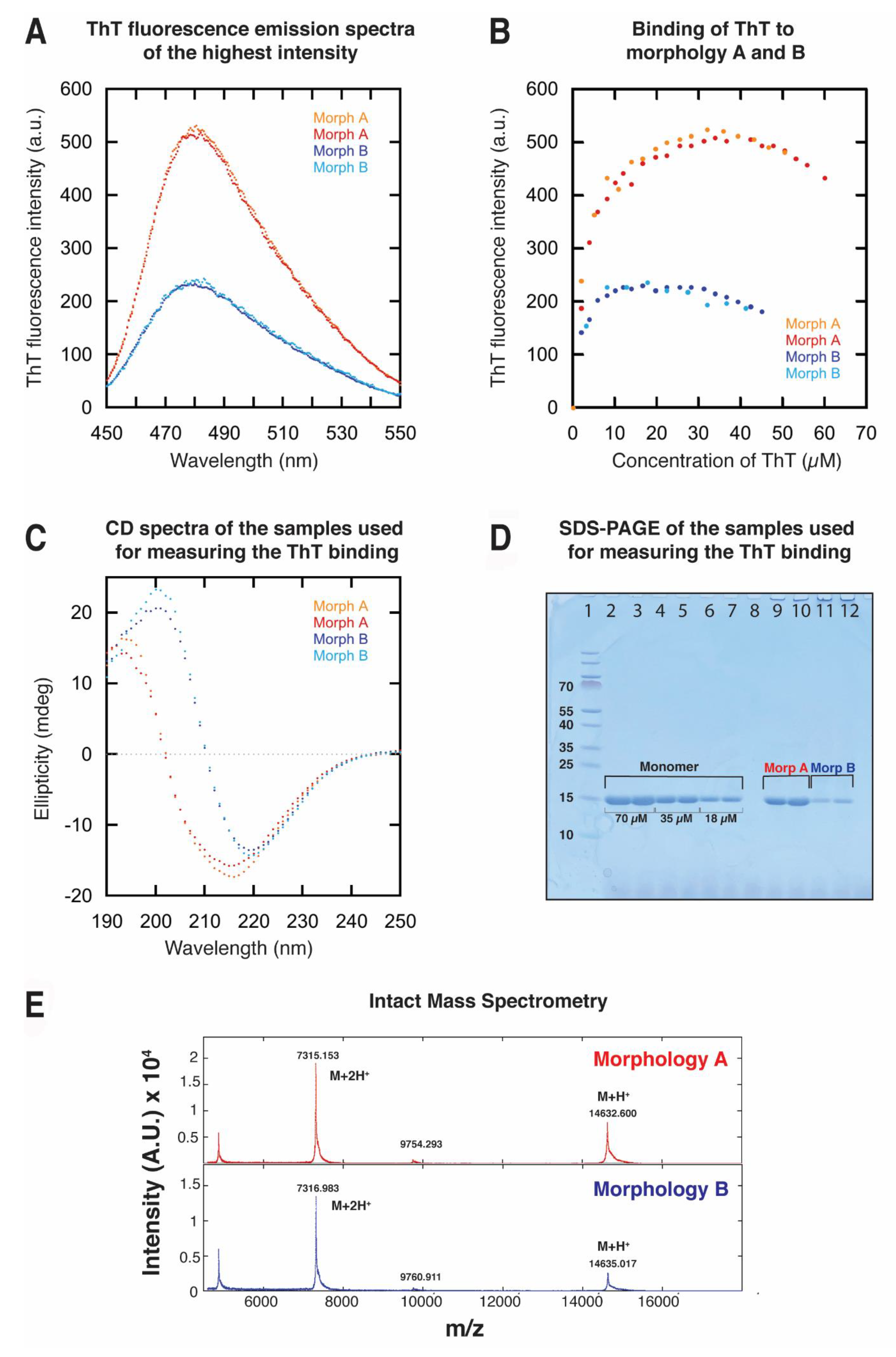 Ijms 24 05191 g006 Ijms 24 05191 g006