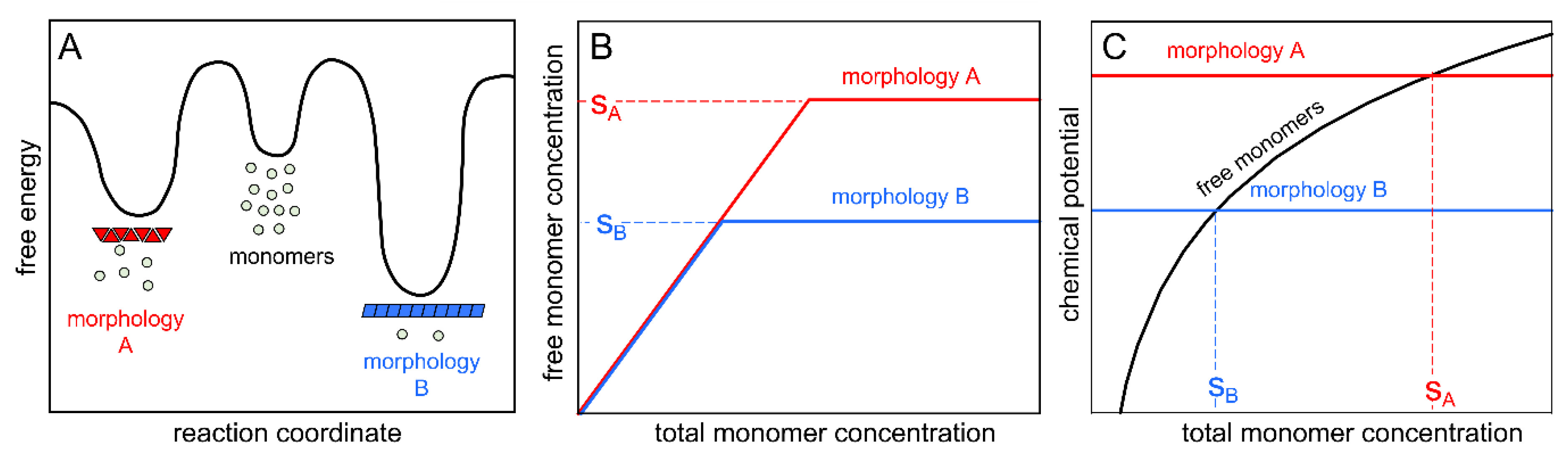 Ijms 24 05191 g007 Ijms 24 05191 g007