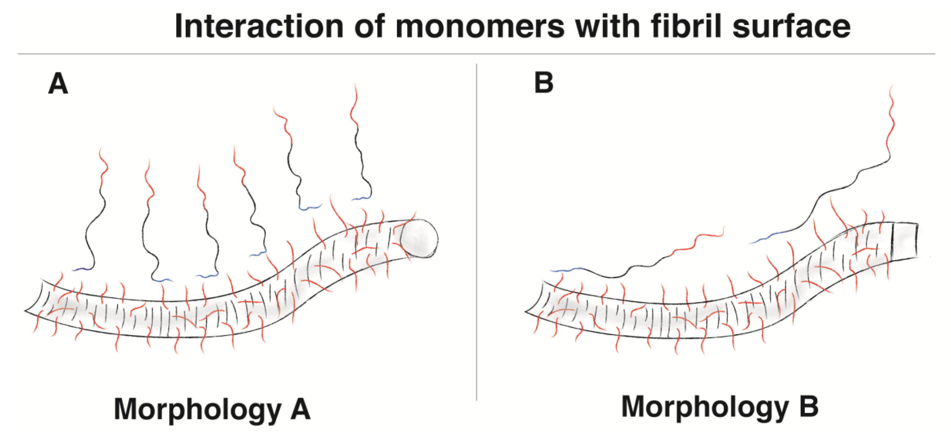 Ijms 24 05191 g008 Ijms 24 05191 g008