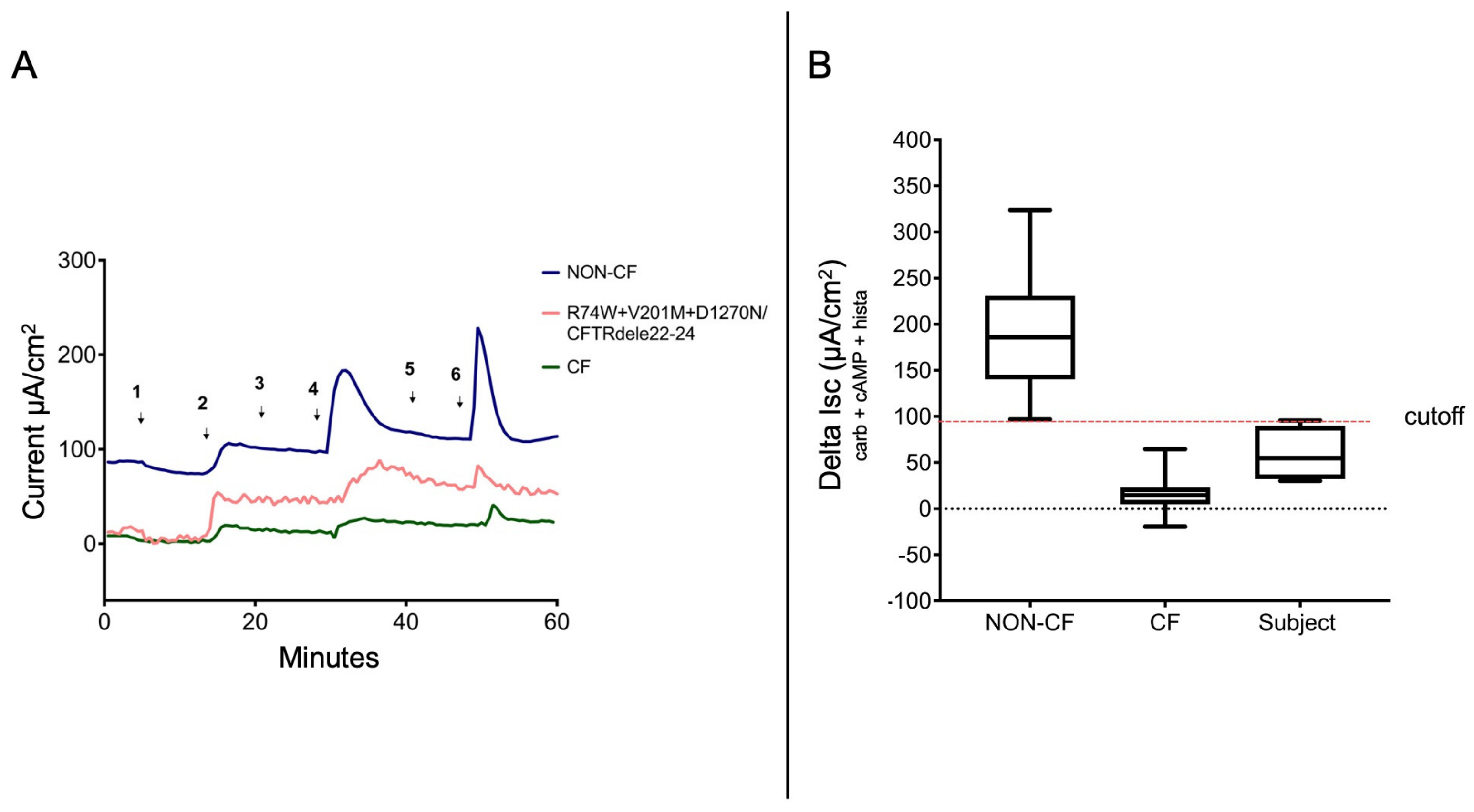 Ijms 24 05199 g001 Ijms 24 05199 g001