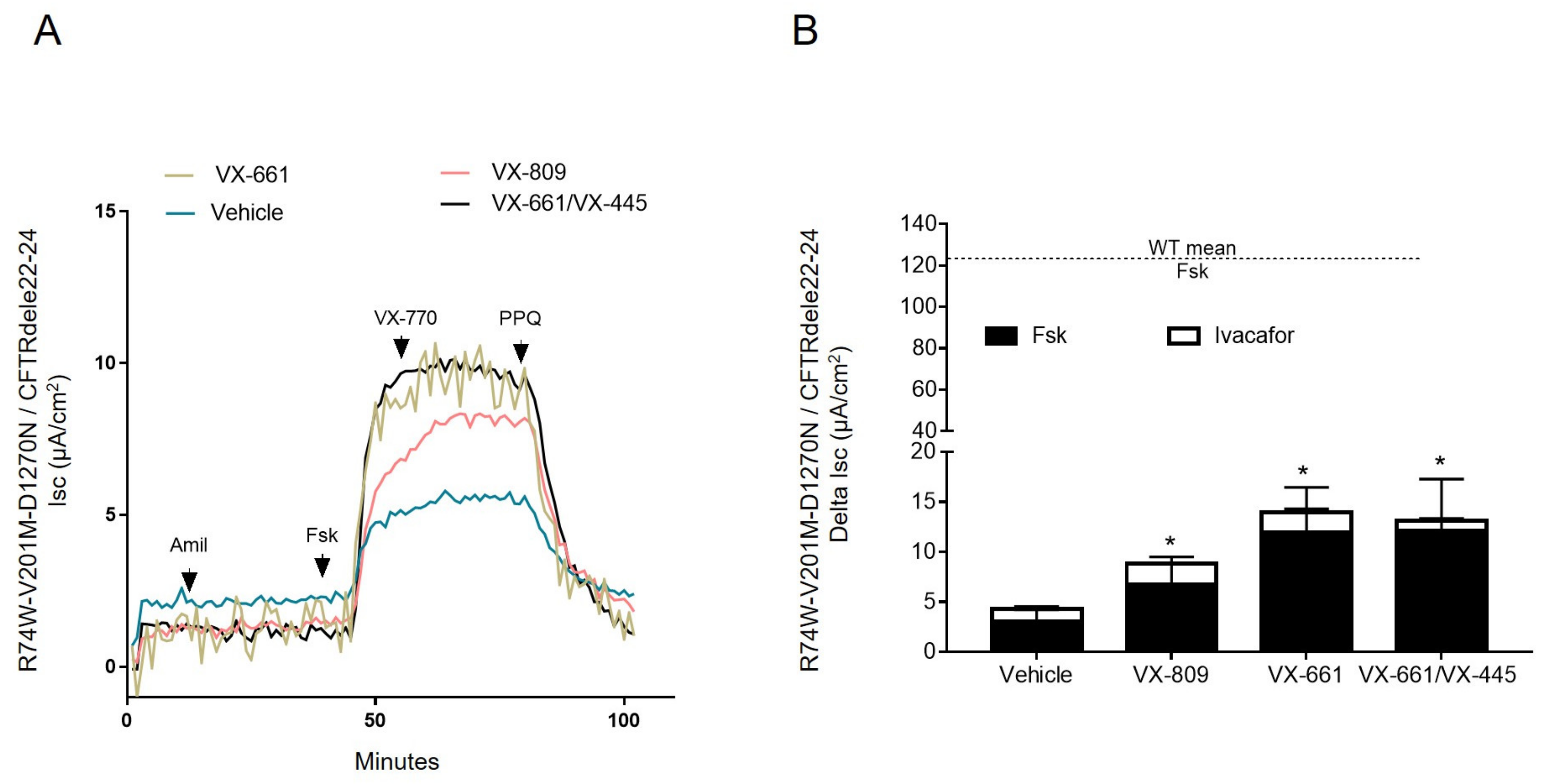 Ijms 24 05199 g004 Ijms 24 05199 g004