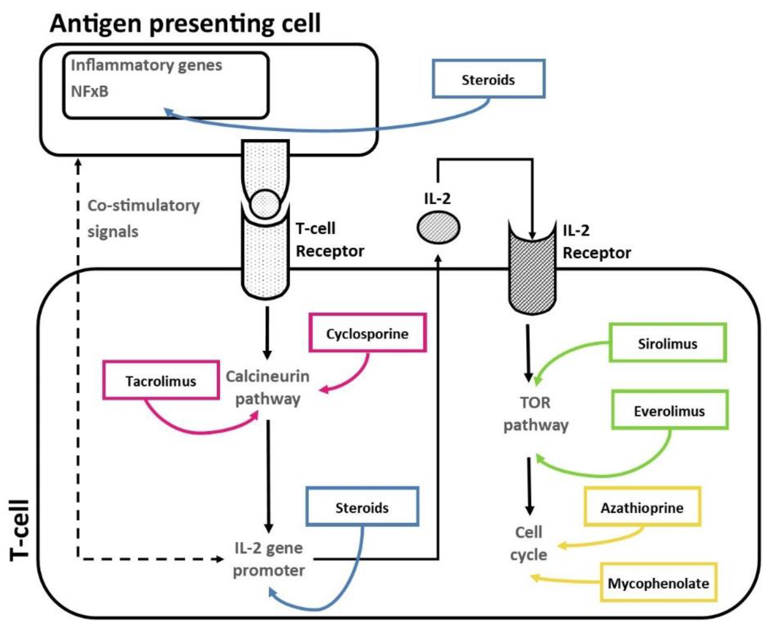 Ijms 24 05201 g001 Ijms 24 05201 g001