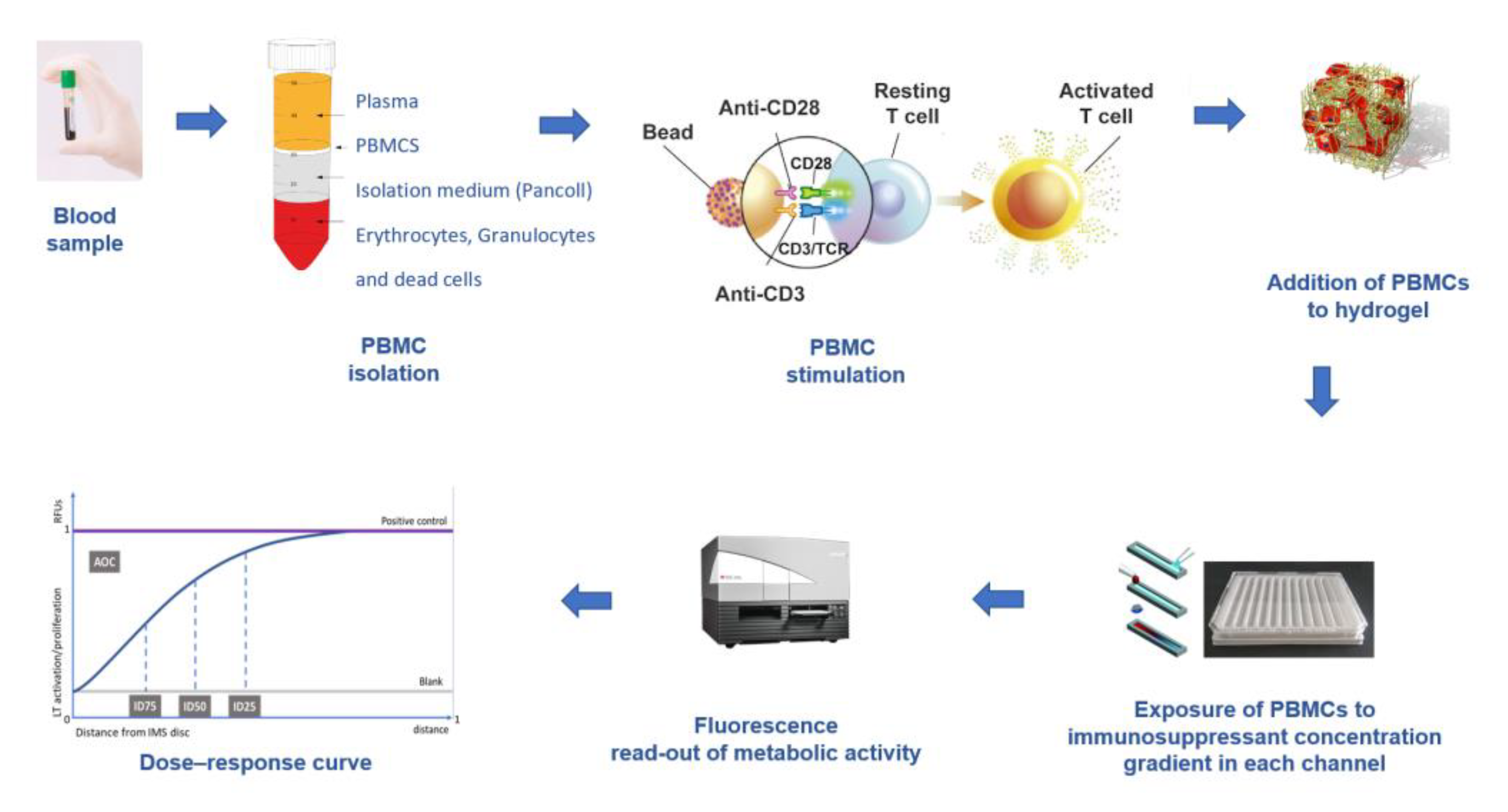 Ijms 24 05201 g002 Ijms 24 05201 g002