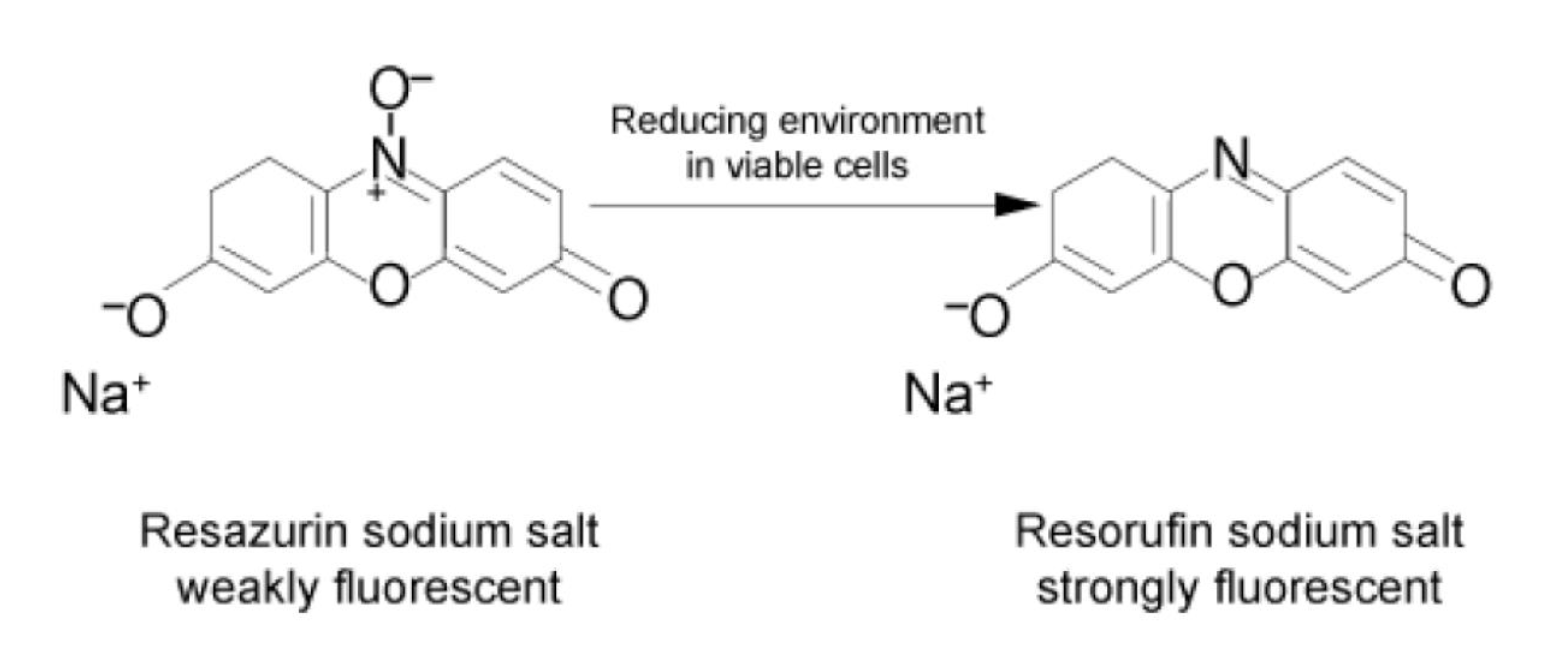 Ijms 24 05201 g003 Ijms 24 05201 g003