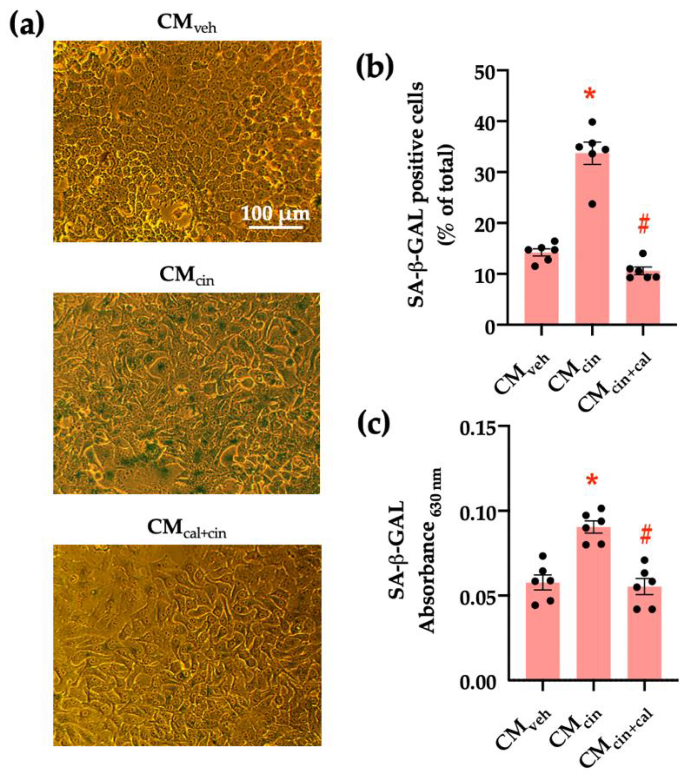 Ijms 24 05217 g001 Ijms 24 05217 g001