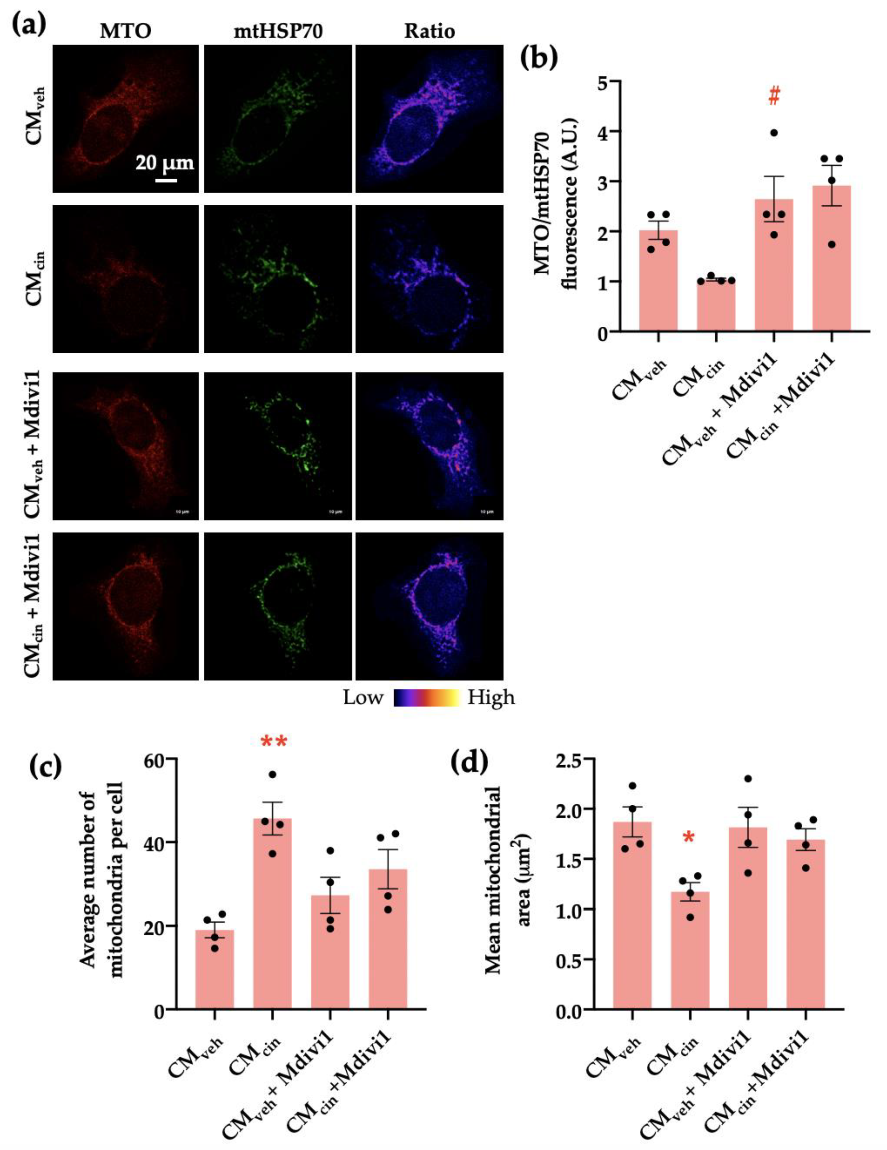 Ijms 24 05217 g008 Ijms 24 05217 g008
