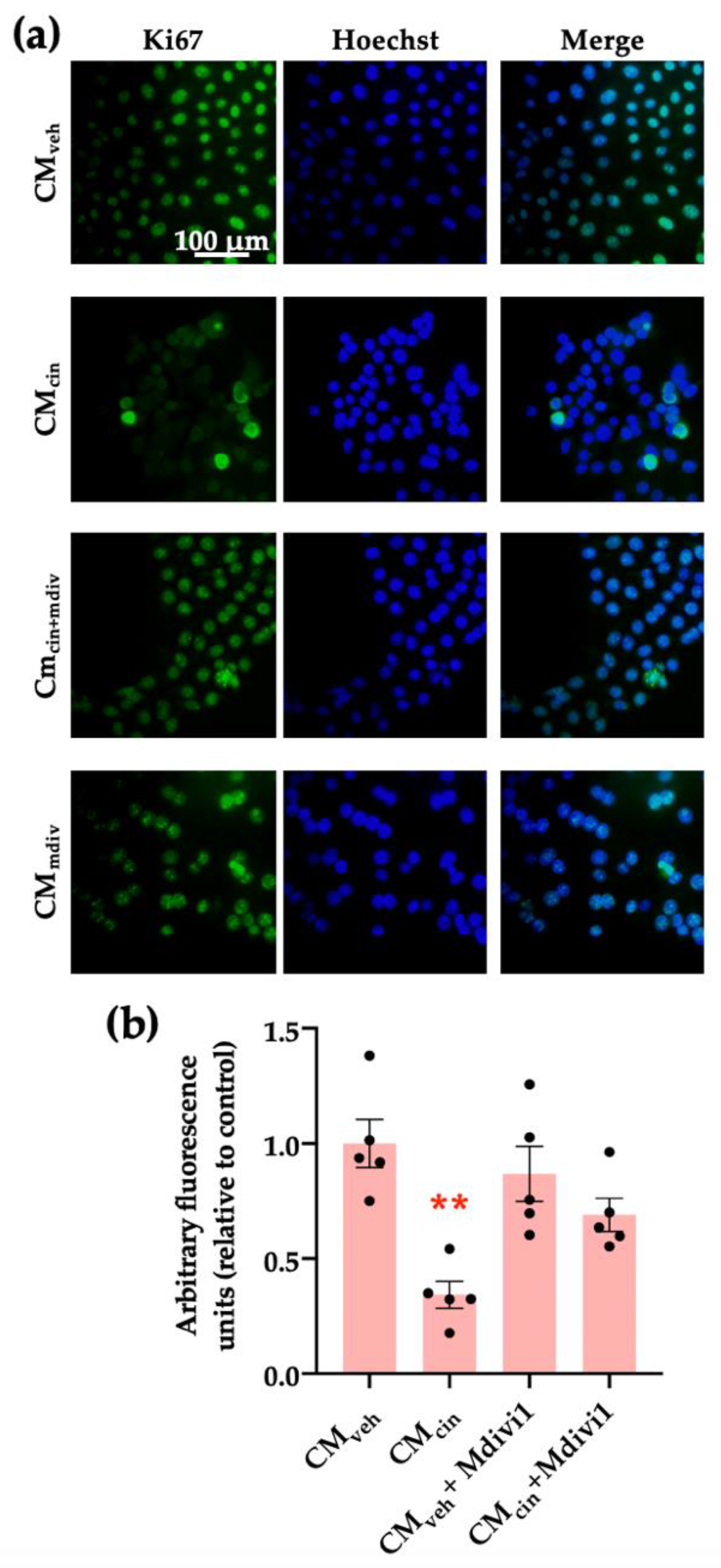 Ijms 24 05217 g010 Ijms 24 05217 g010