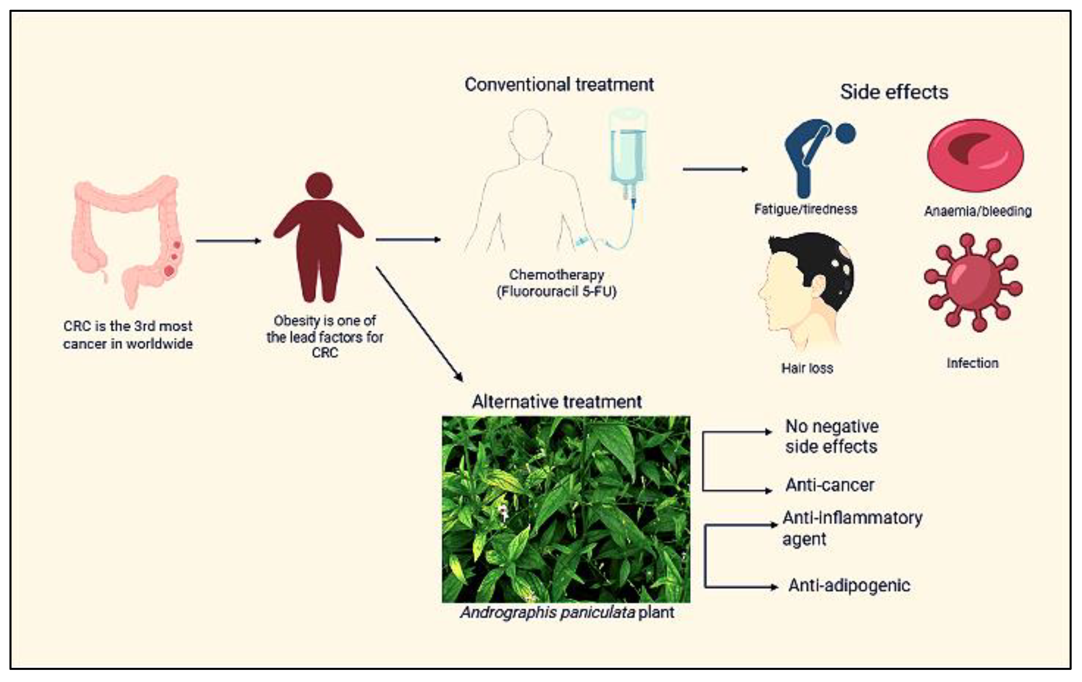 Ijms 24 05224 g001 Ijms 24 05224 g001