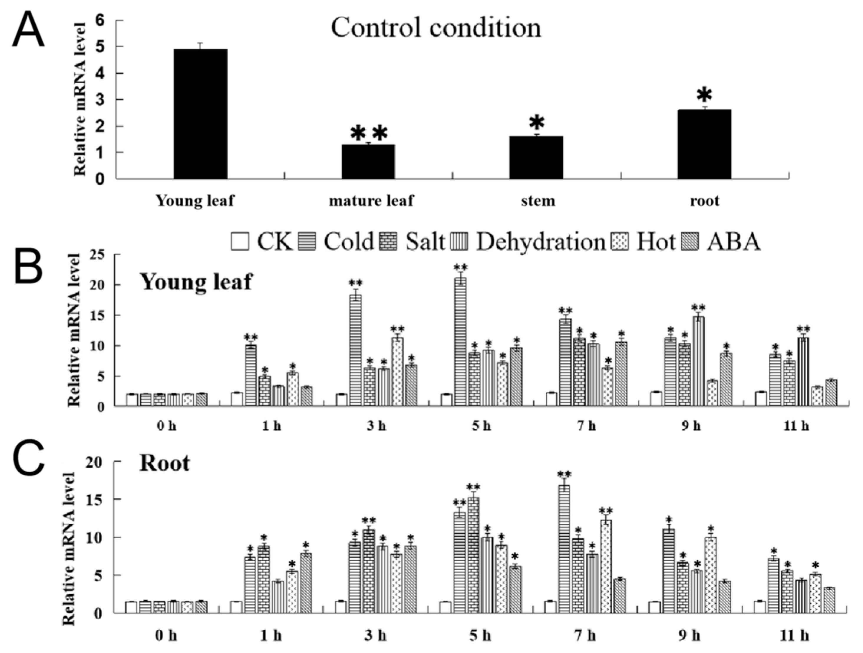 Ijms 24 05261 g004 Ijms 24 05261 g004