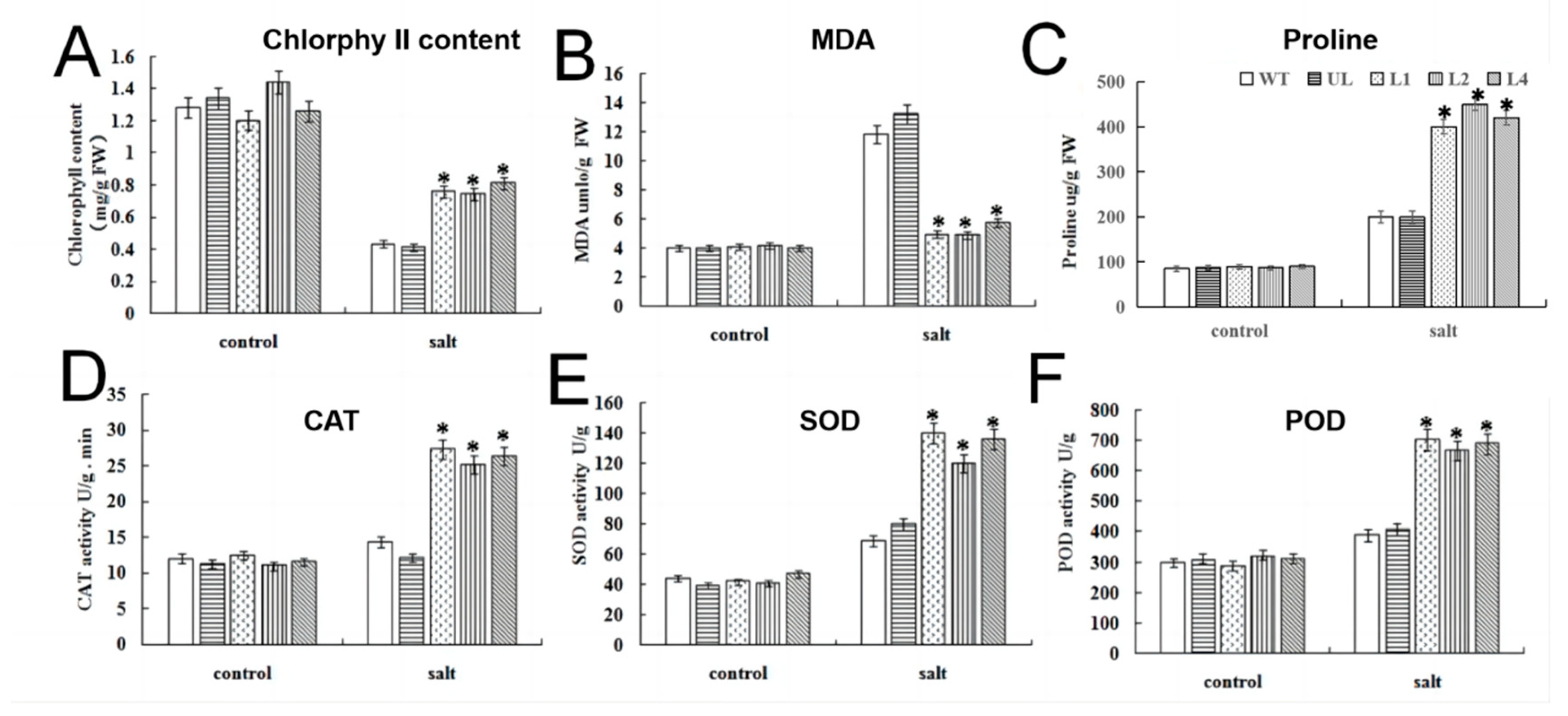 Ijms 24 05261 g006 Ijms 24 05261 g006