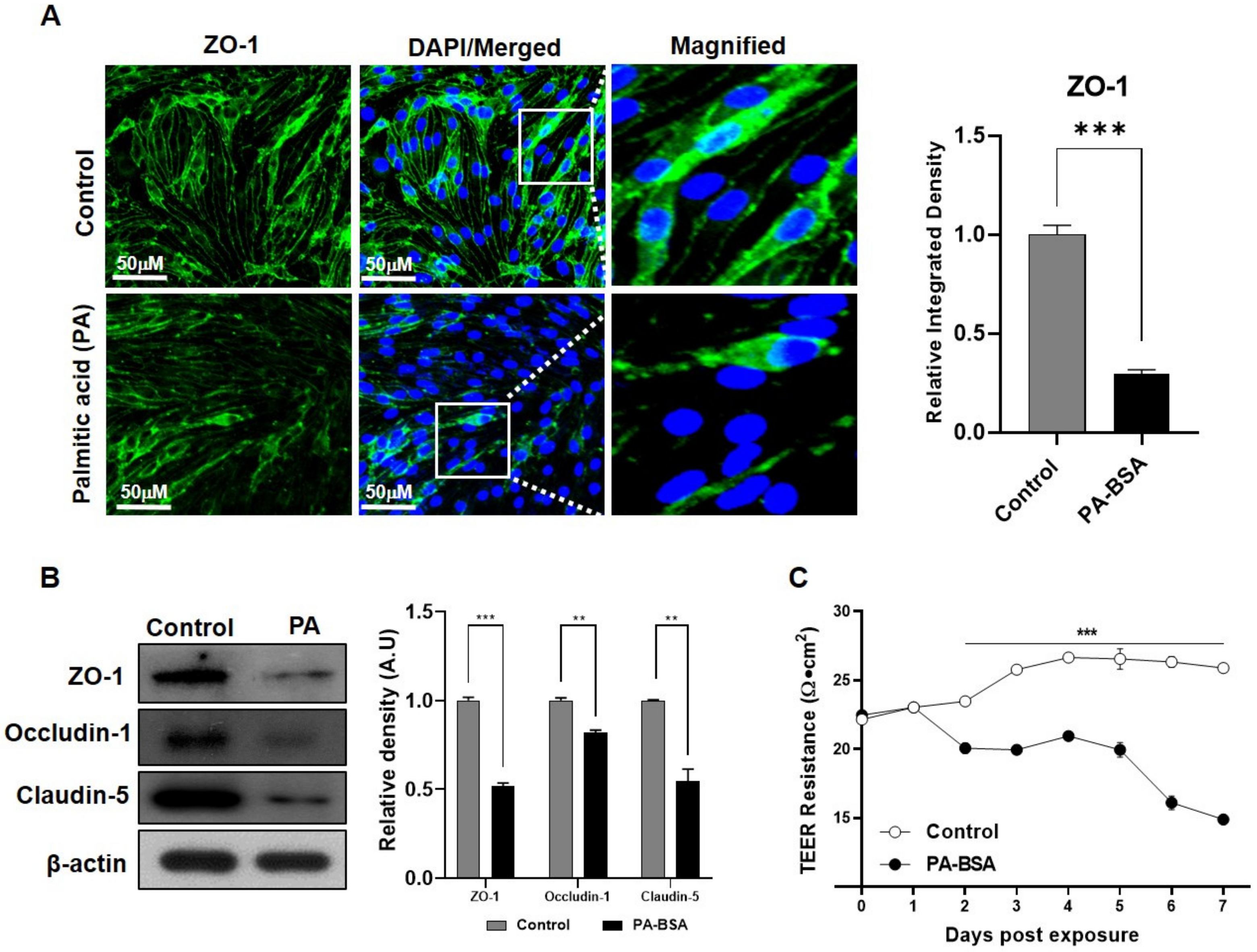 Ijms 24 05283 g004 Ijms 24 05283 g004