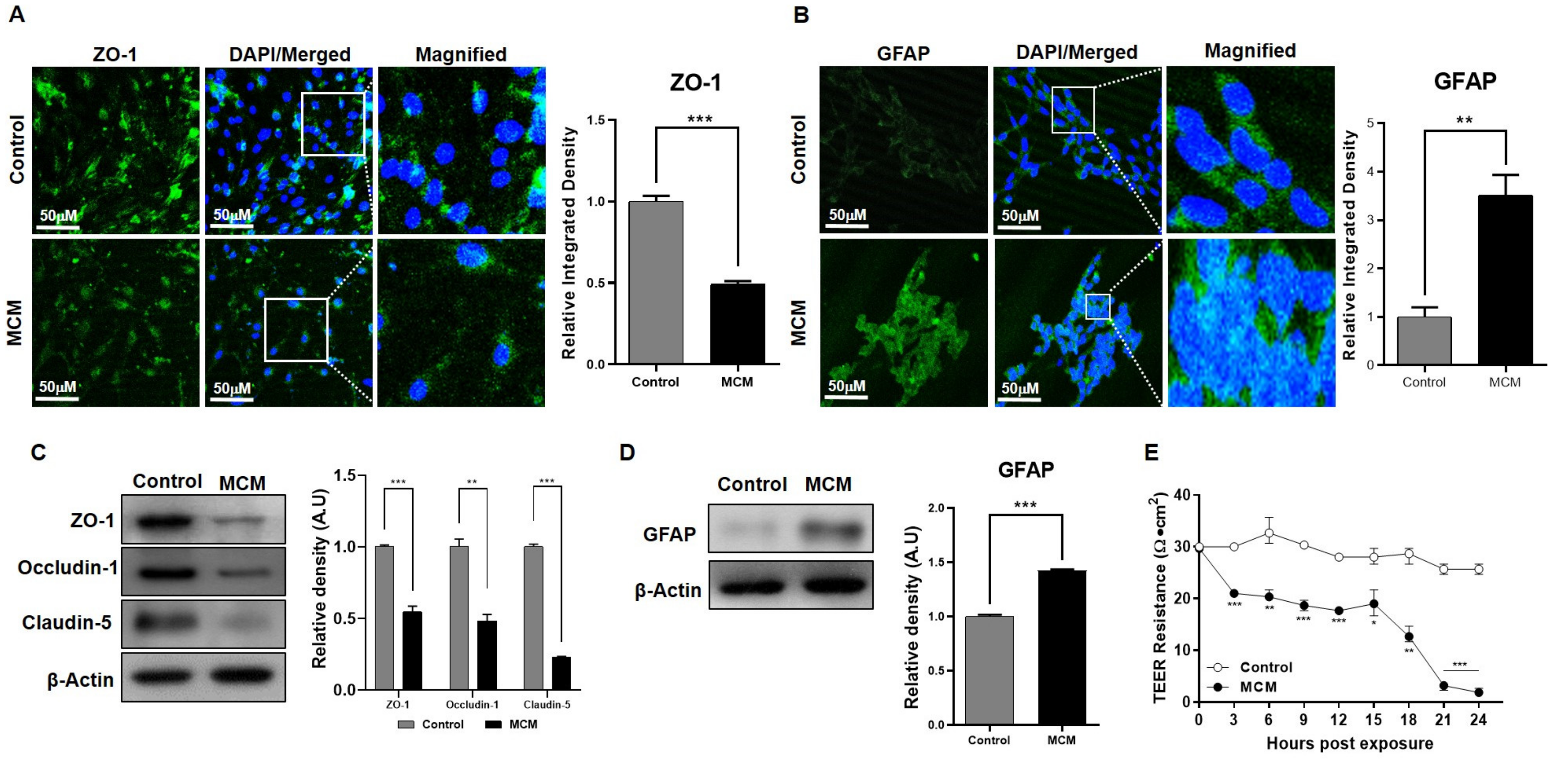 Ijms 24 05283 g005 Ijms 24 05283 g005