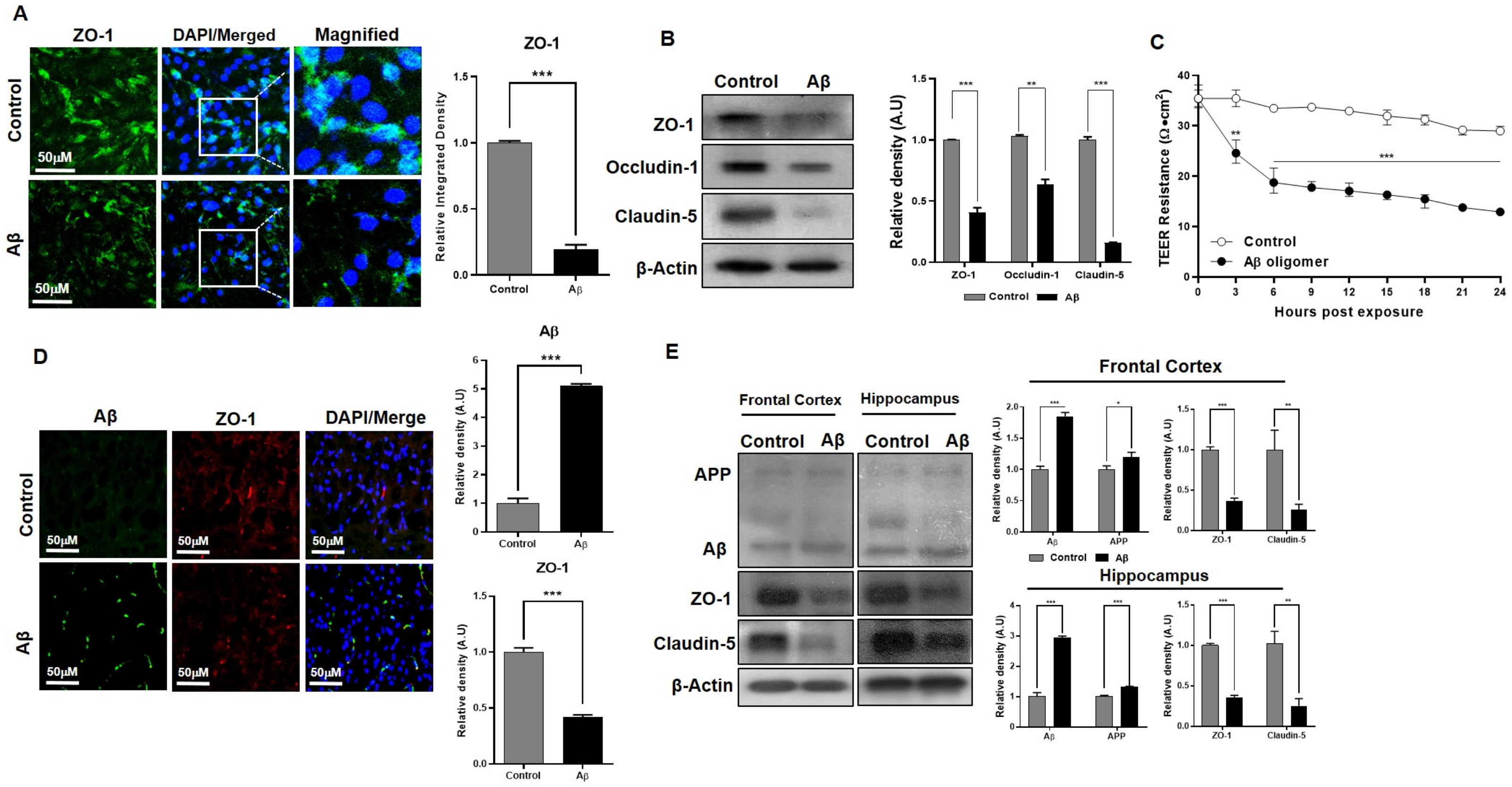 Ijms 24 05283 g006 Ijms 24 05283 g006