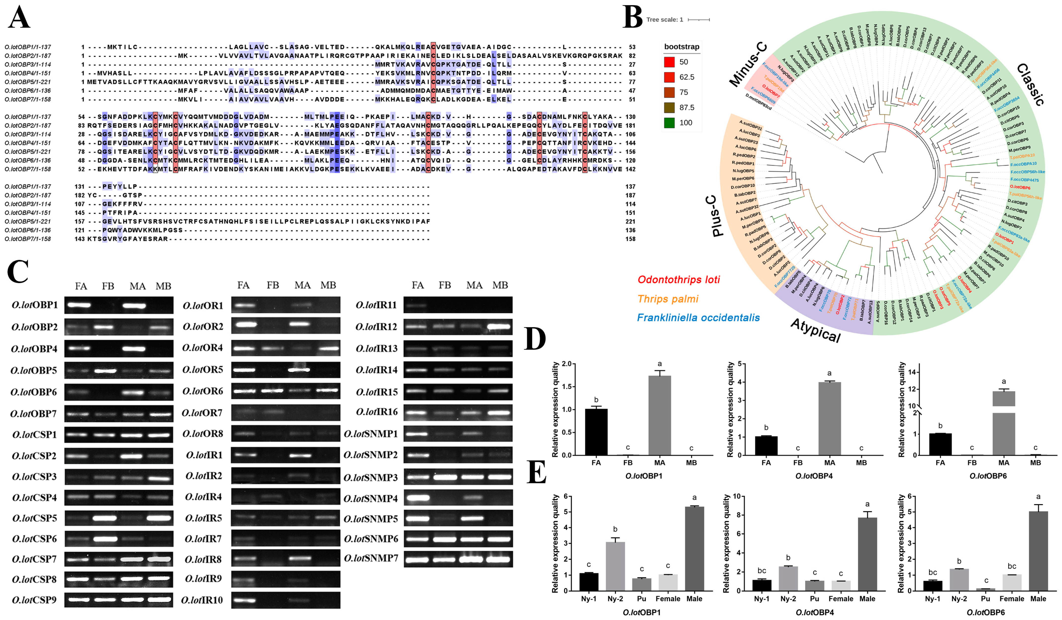 Ijms 24 05284 g002 Ijms 24 05284 g002