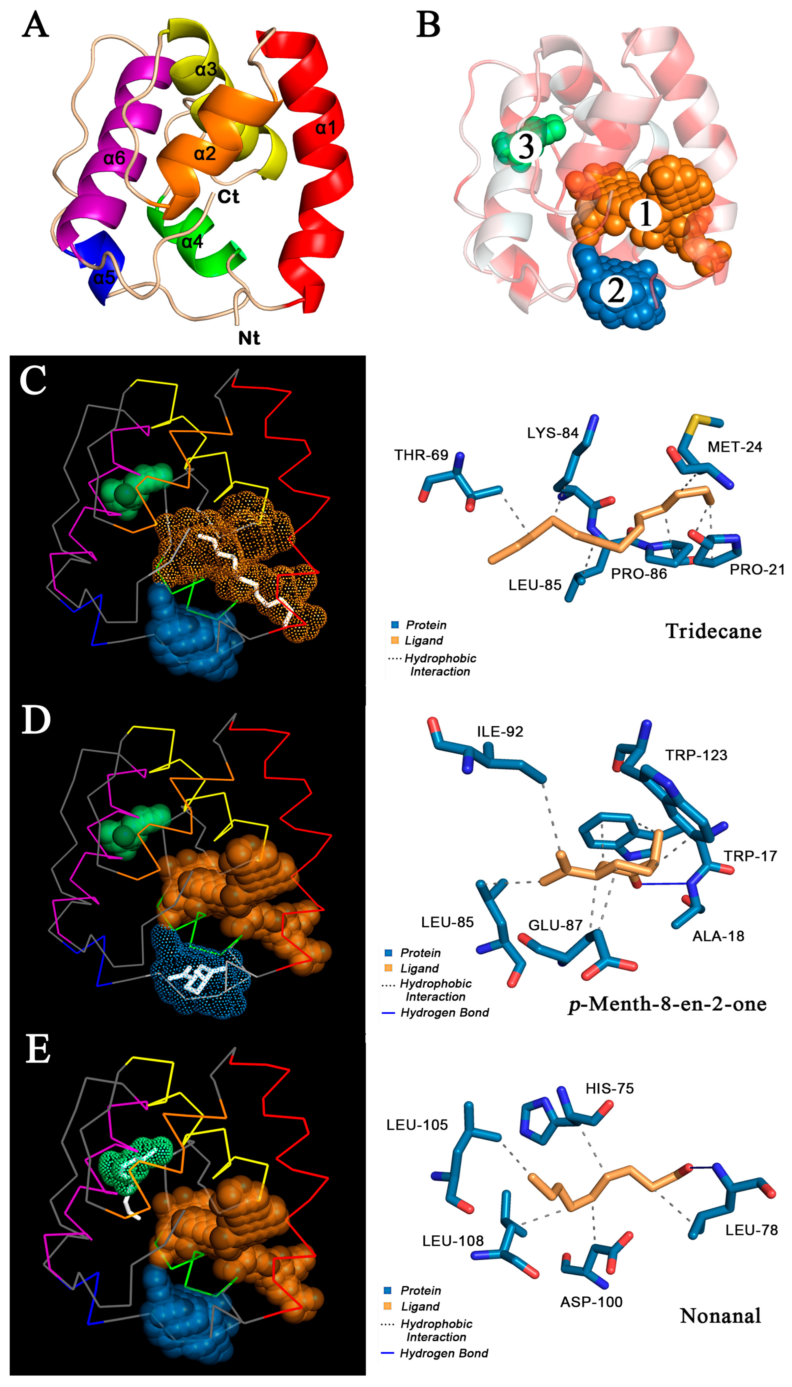 Ijms 24 05284 g004 Ijms 24 05284 g004