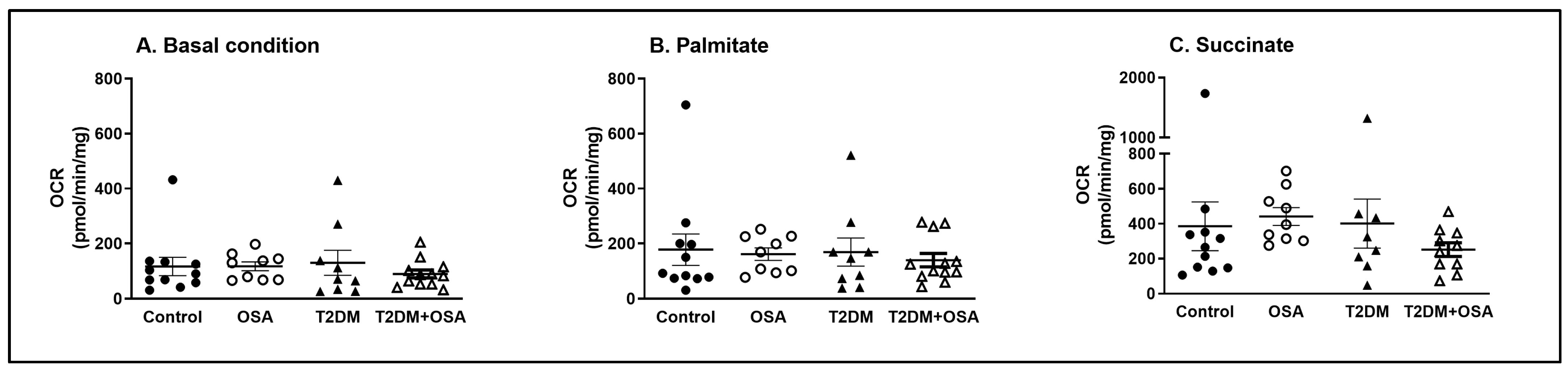 Ijms 24 05308 g001 Ijms 24 05308 g001