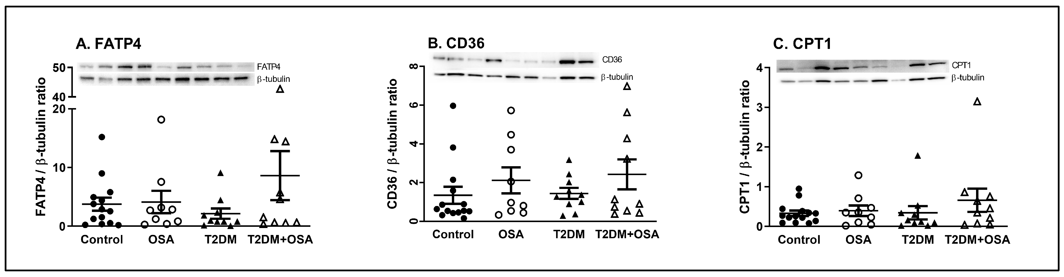 Ijms 24 05308 g002 Ijms 24 05308 g002