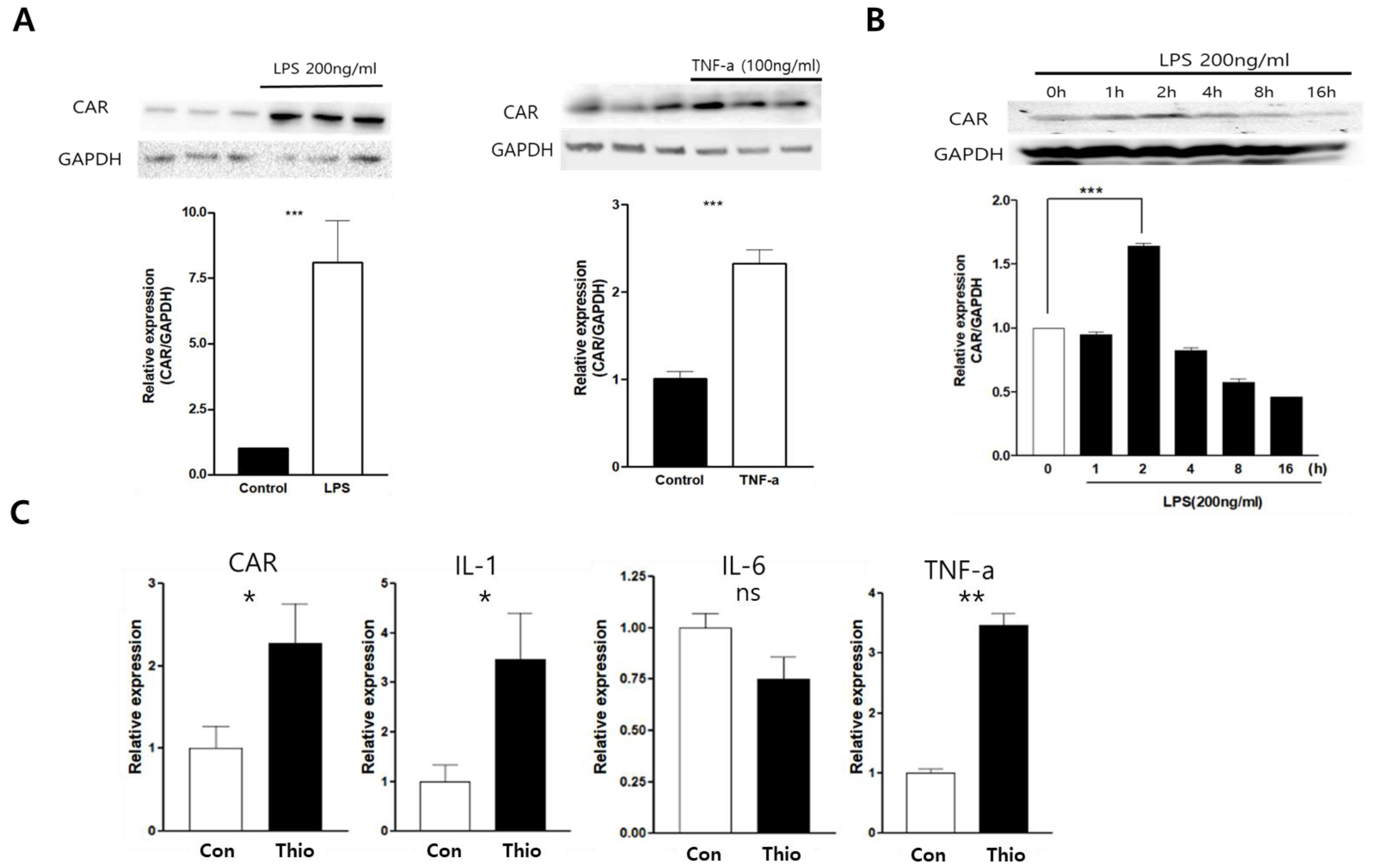 Ijms 24 05309 g001 Ijms 24 05309 g001