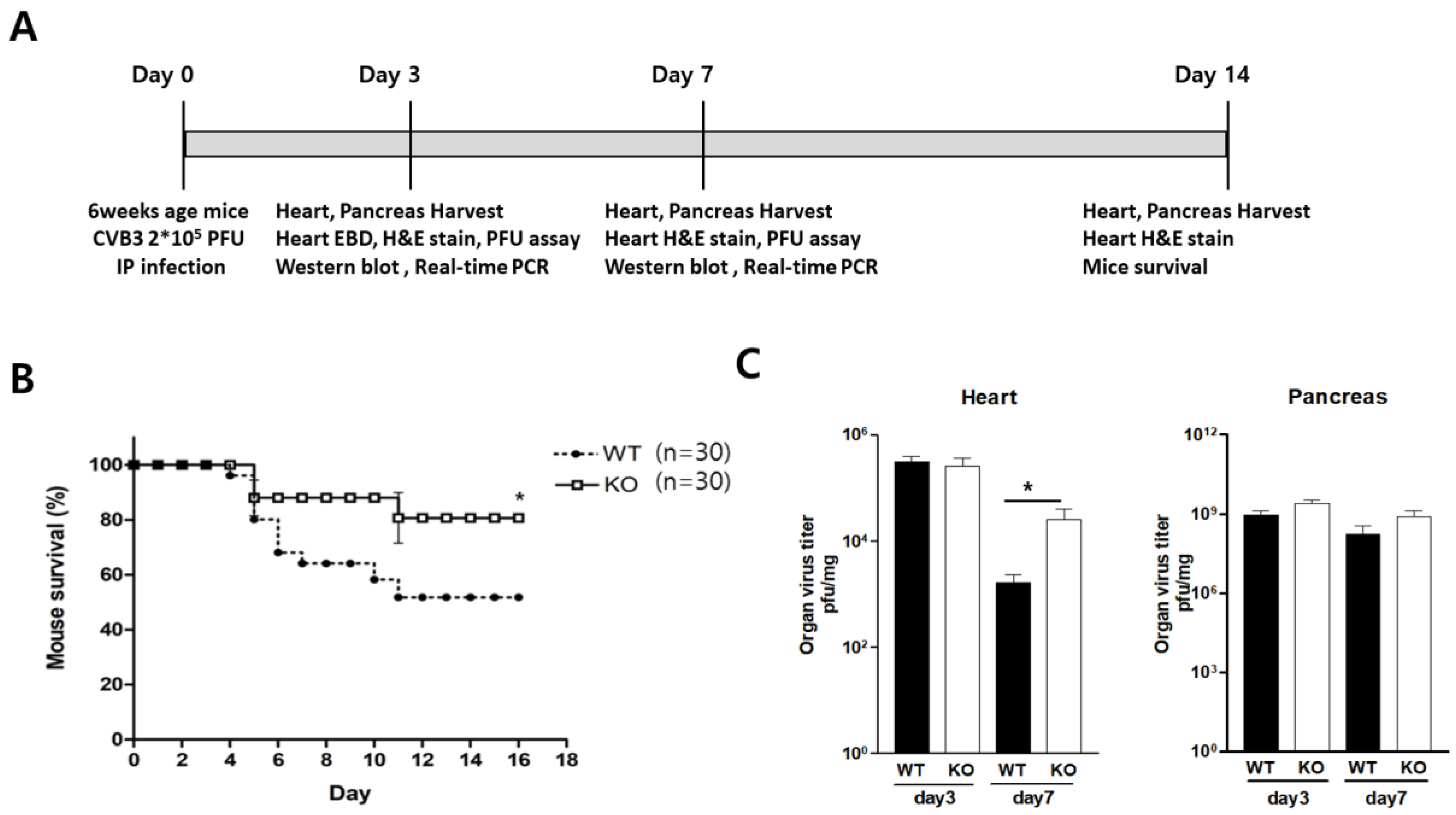 Ijms 24 05309 g003 Ijms 24 05309 g003