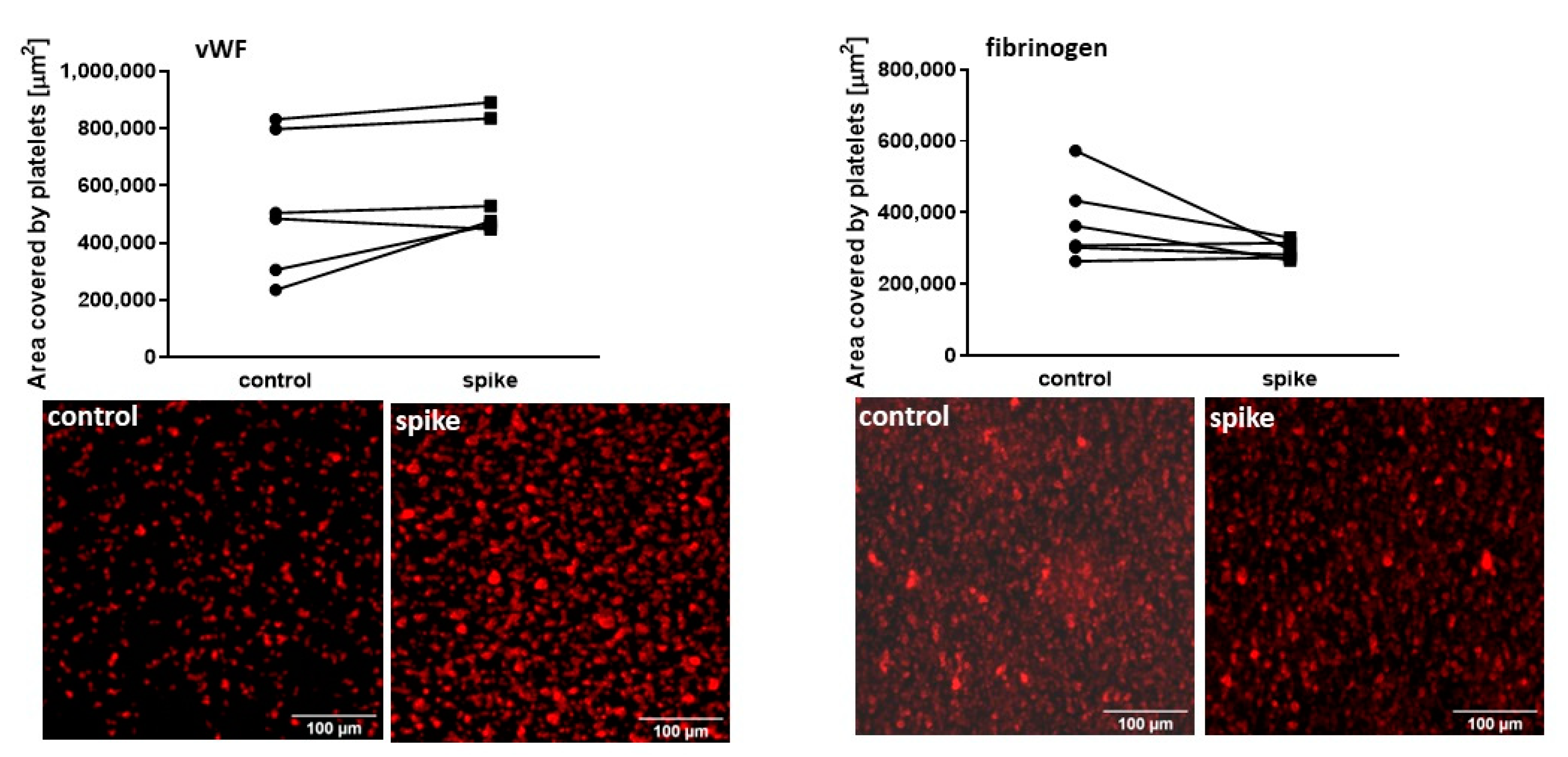Ijms 24 05312 g007 Ijms 24 05312 g007