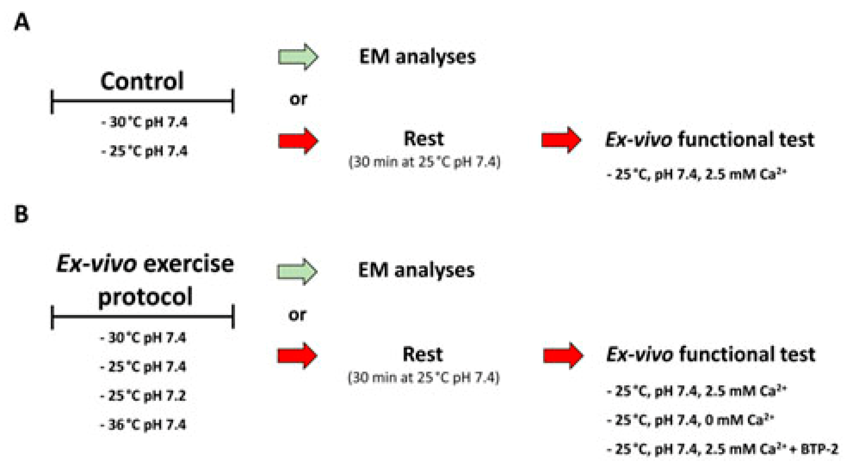 Ijms 24 05328 g001 Ijms 24 05328 g001