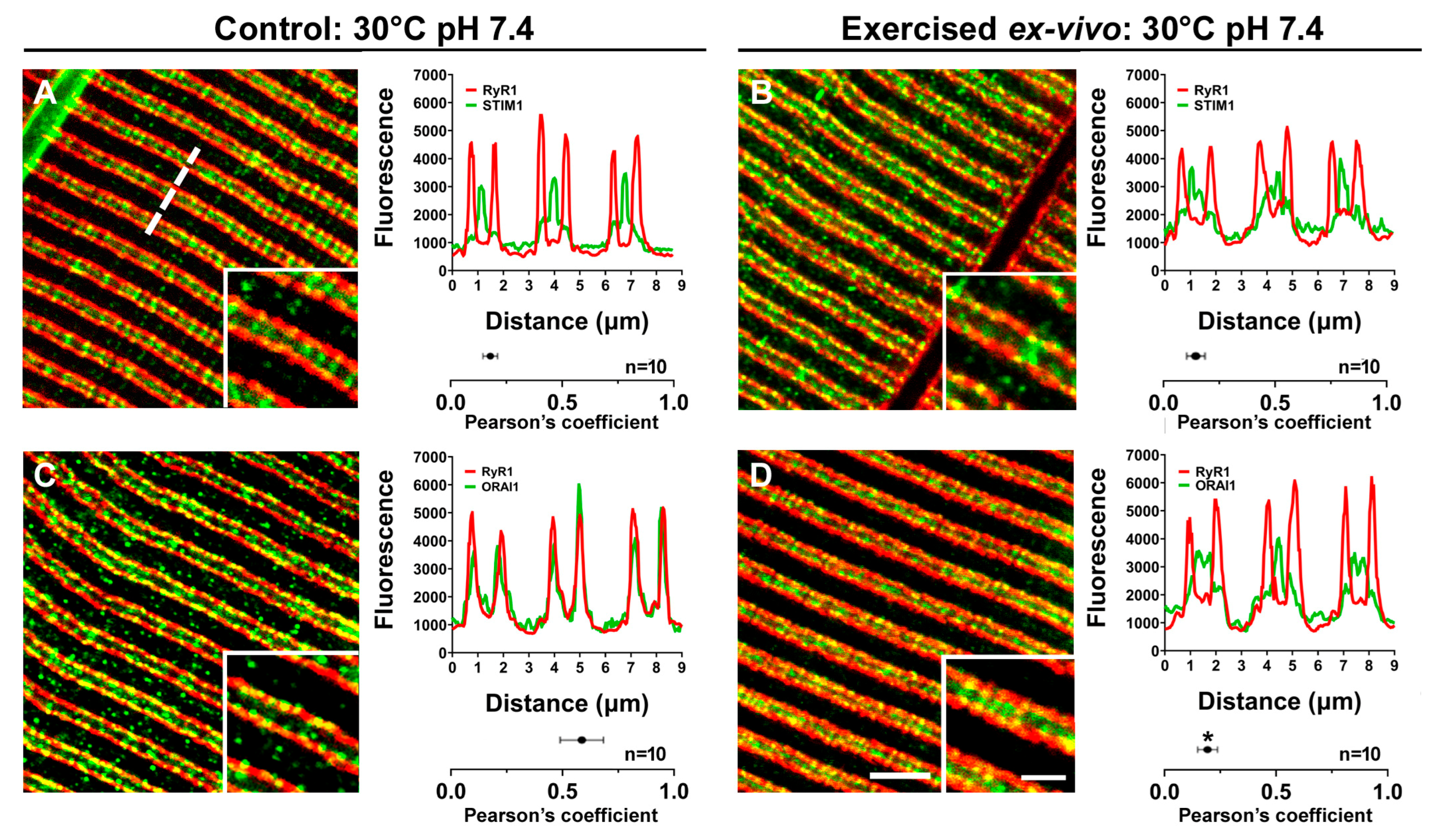 Ijms 24 05328 g002 Ijms 24 05328 g002