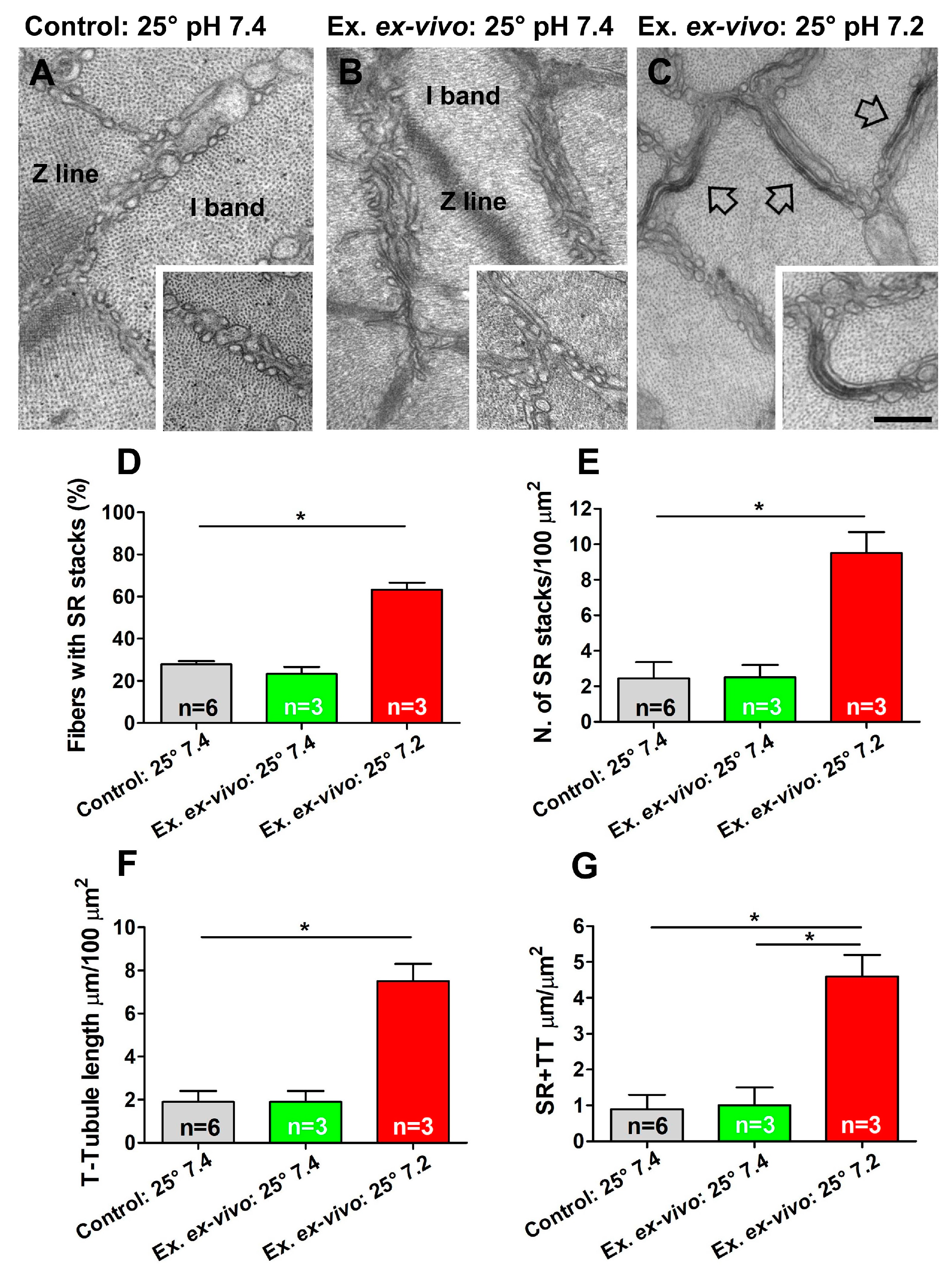 Ijms 24 05328 g005 Ijms 24 05328 g005