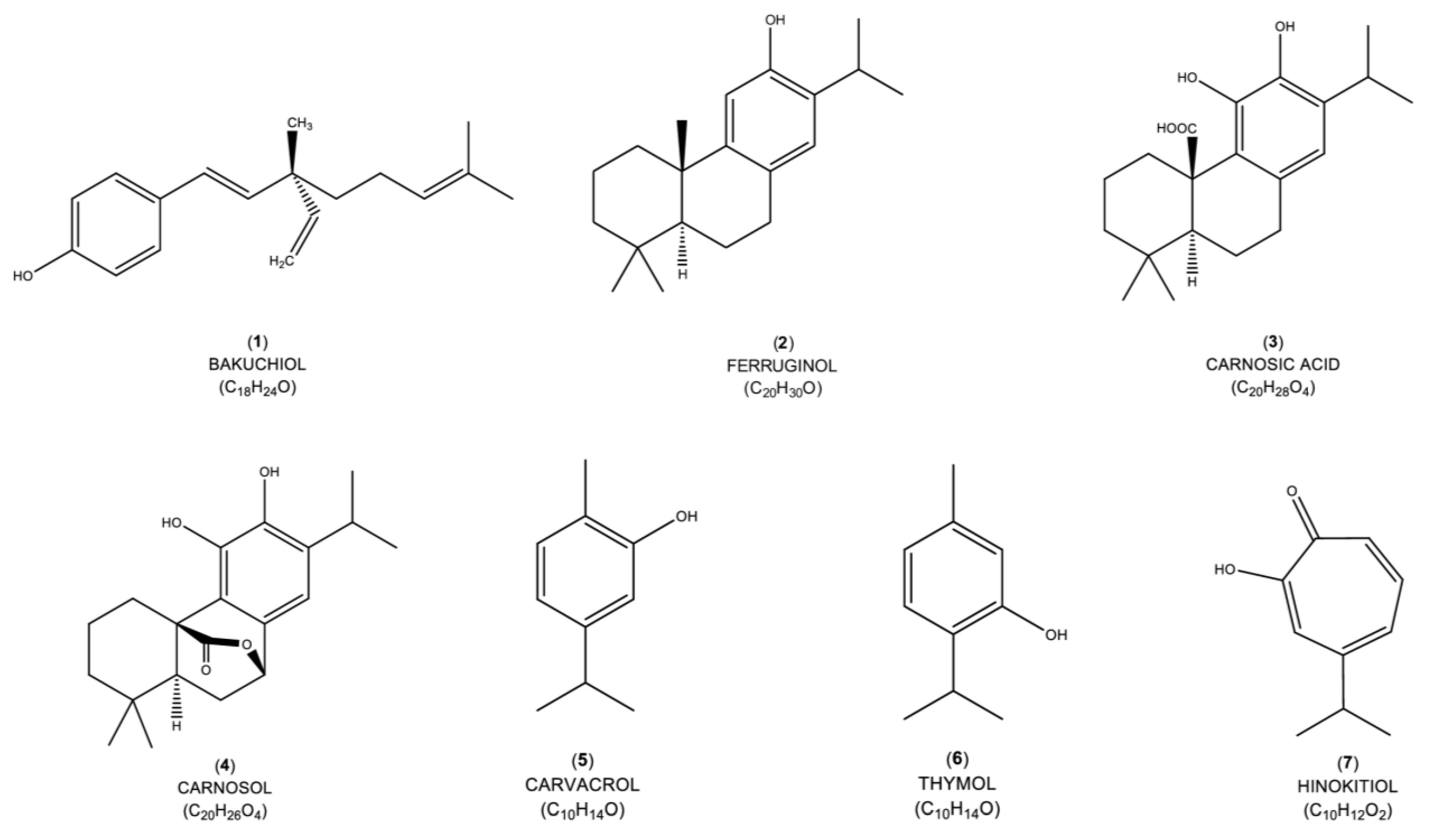 Ijms 24 05339 g002 Ijms 24 05339 g002