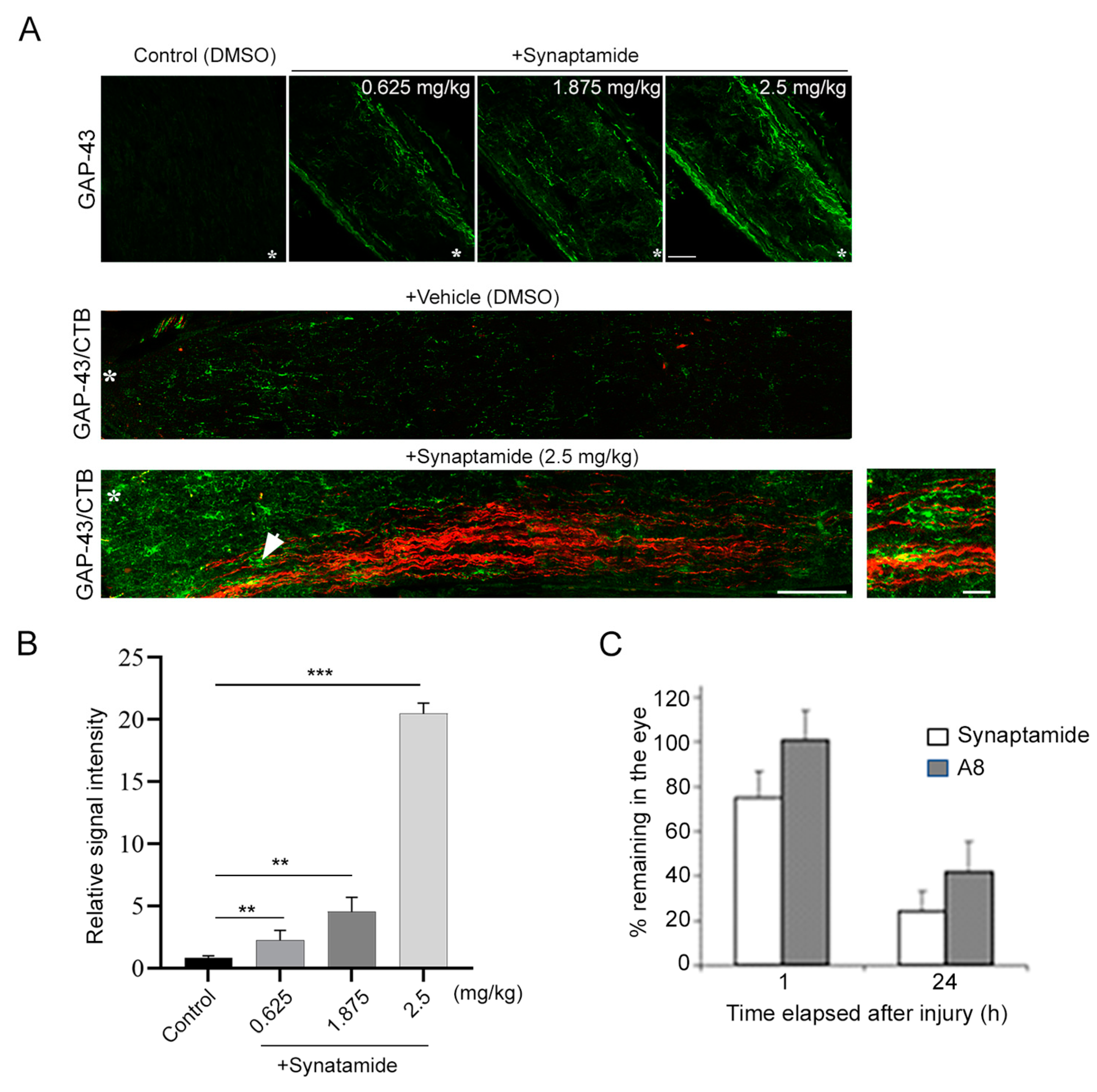 Ijms 24 05340 g001 Ijms 24 05340 g001